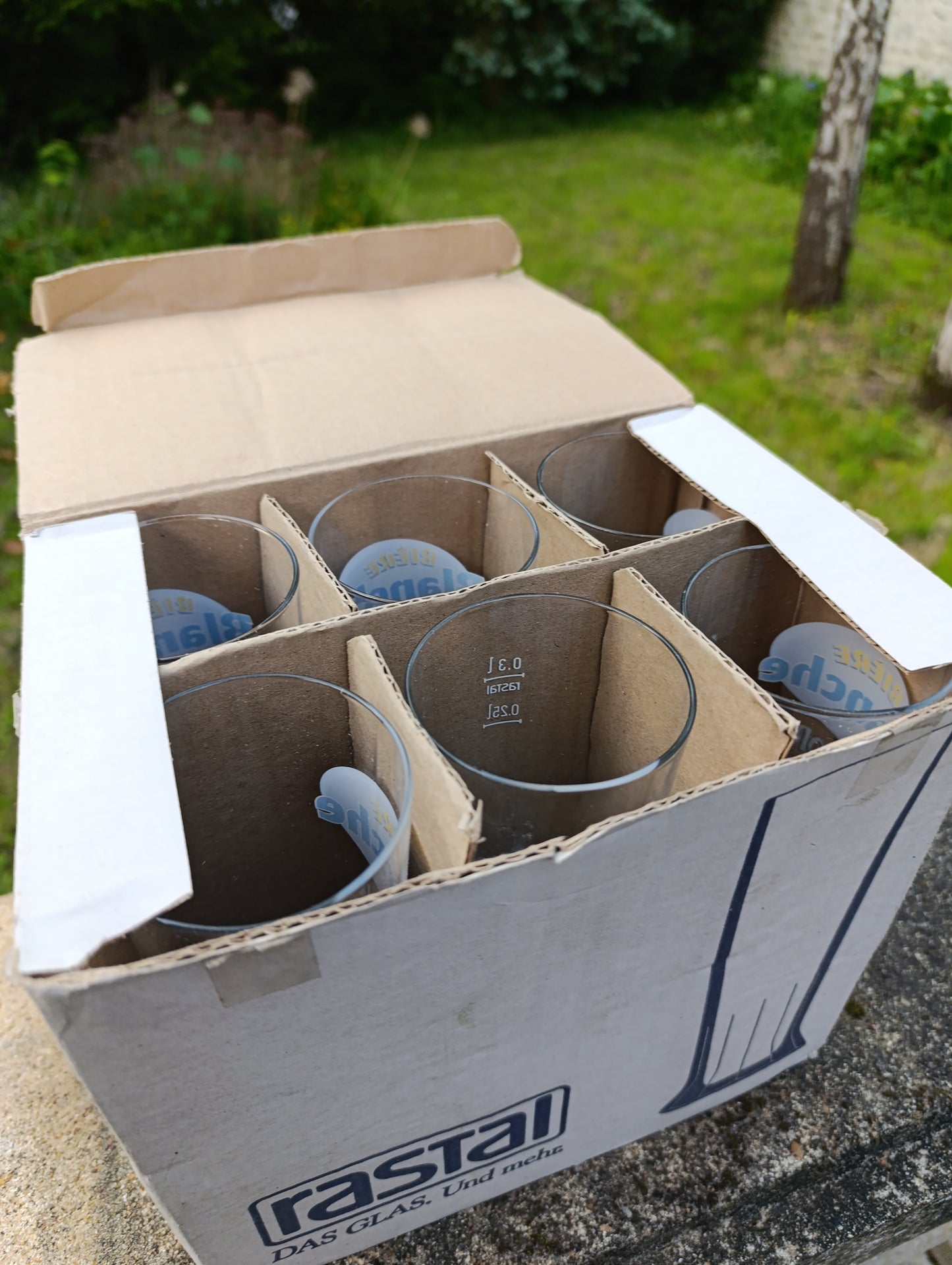 Verres à bière Meteor Blanche givrés – lot de 6