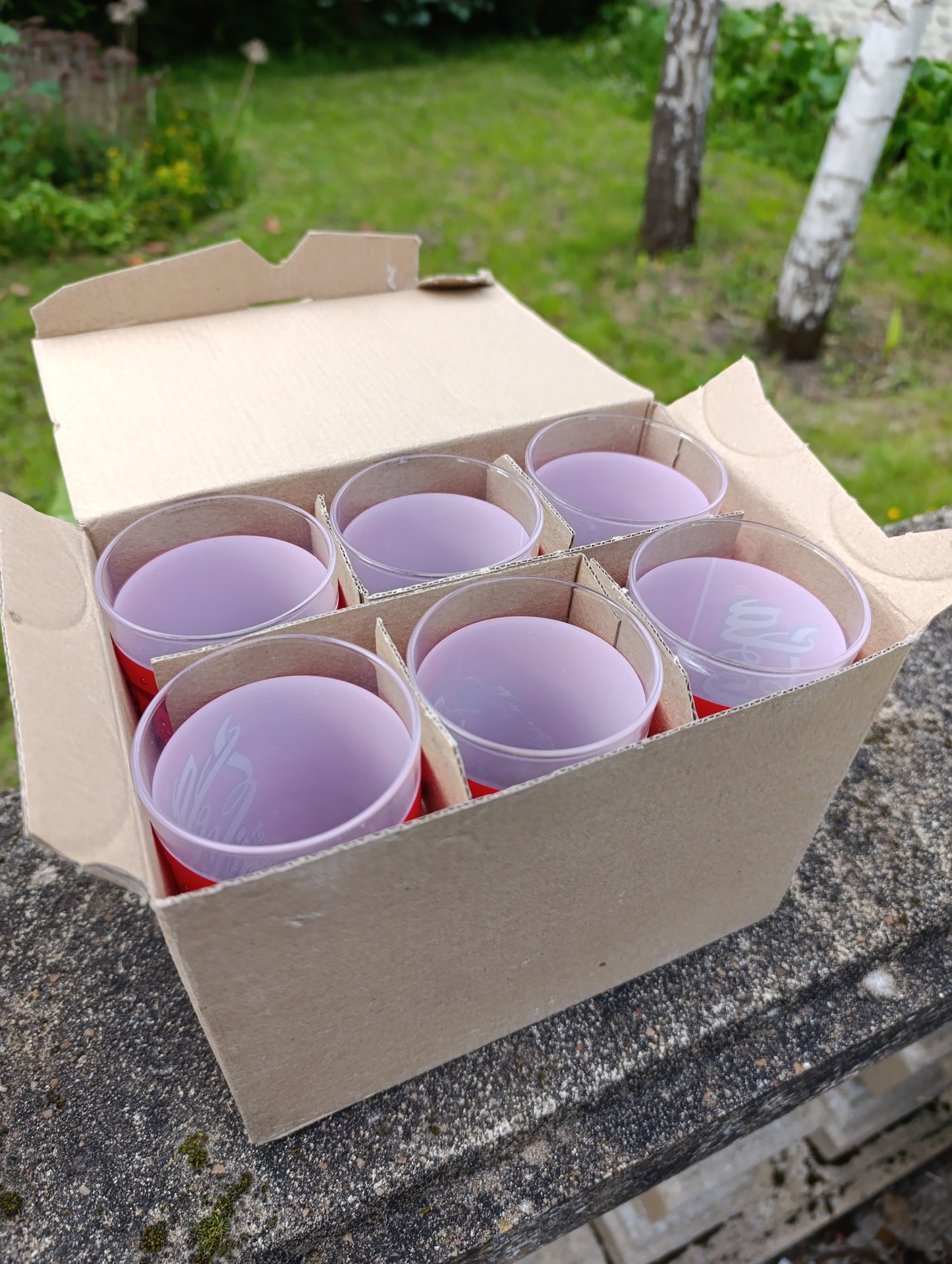 Lot de 6 verres Coca-Cola vintage – verres publicitaires avec carton