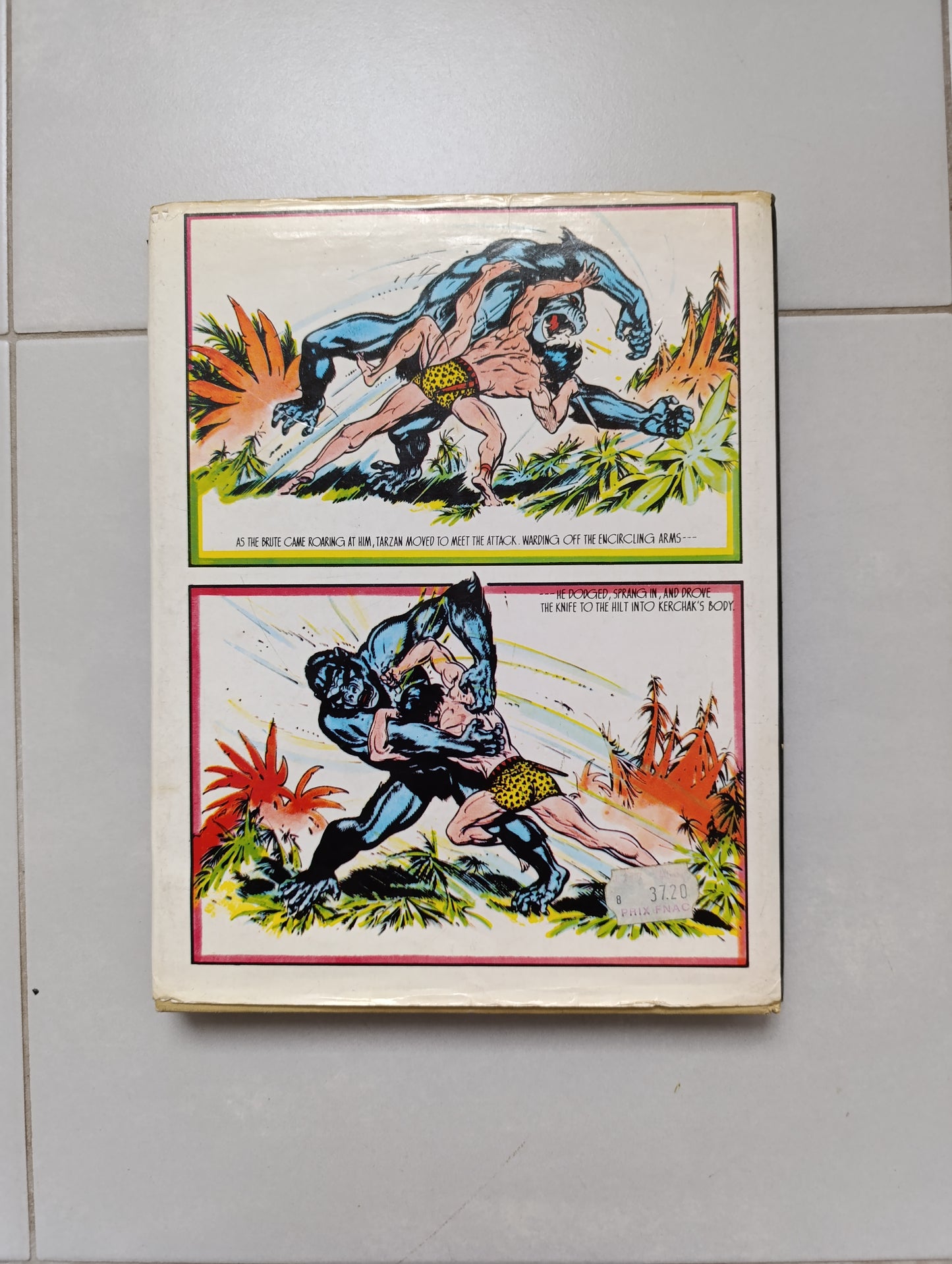 Tarzan of the Apes — Edgar Rice Burroughs / Burne Hogarth — New Pictorial Version