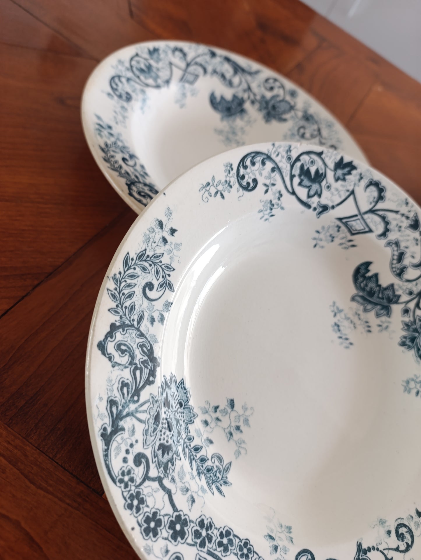 Lot de 2 assiettes creuses anciennes Terre de Fer Cie Franco Anglaise Paris décor floral bleu