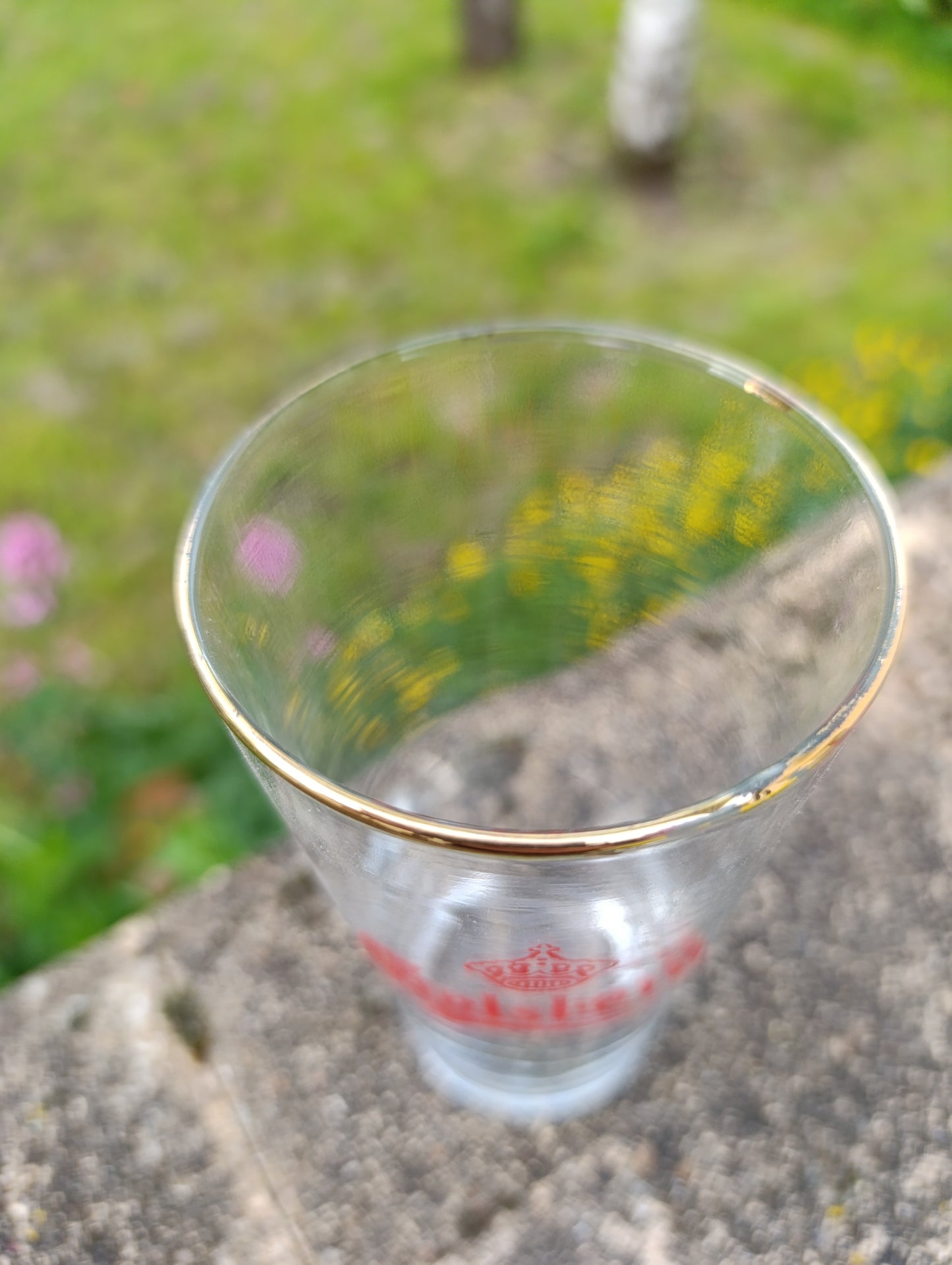 Lot de 6 verres à bière Carlsberg 25 cl – dorure ancienne – verre publicitaire vintage