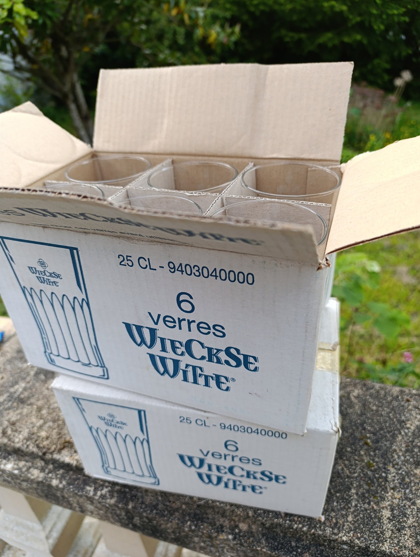 Lot de 12 verres Wieckse Witte 25 cl