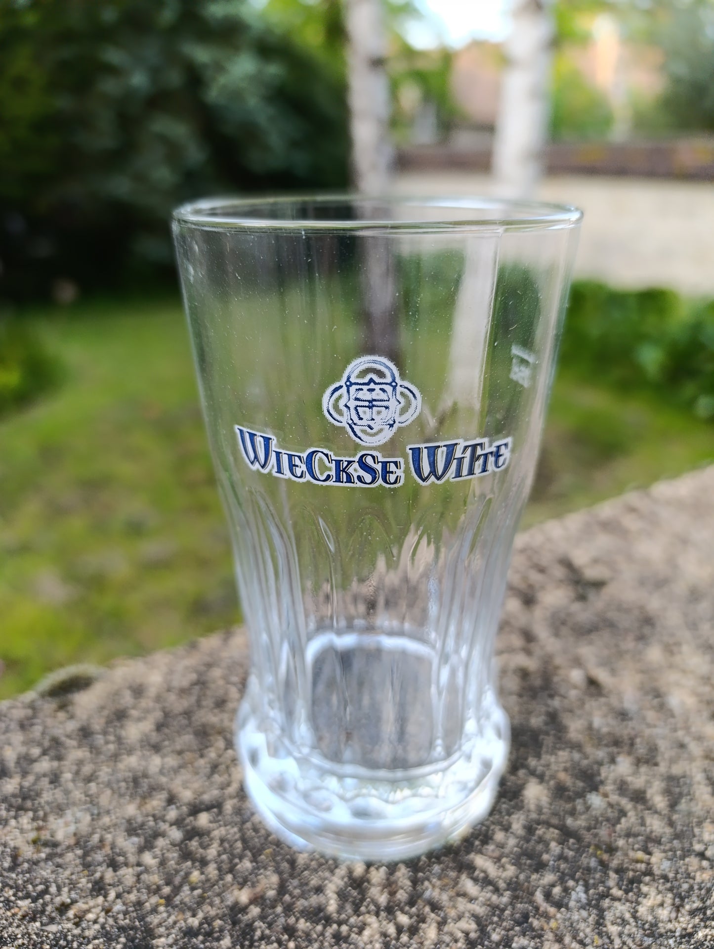 Lot de 12 verres Wieckse Witte 25 cl