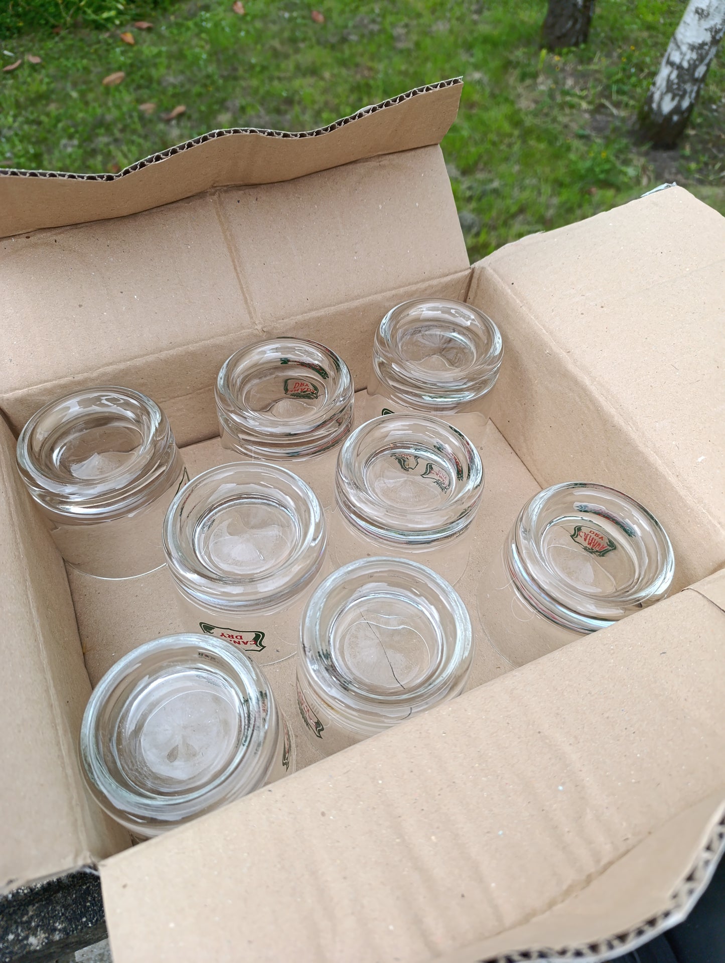 Lot de 8 verres publicitaires Canada Dry vintage en verre épais
