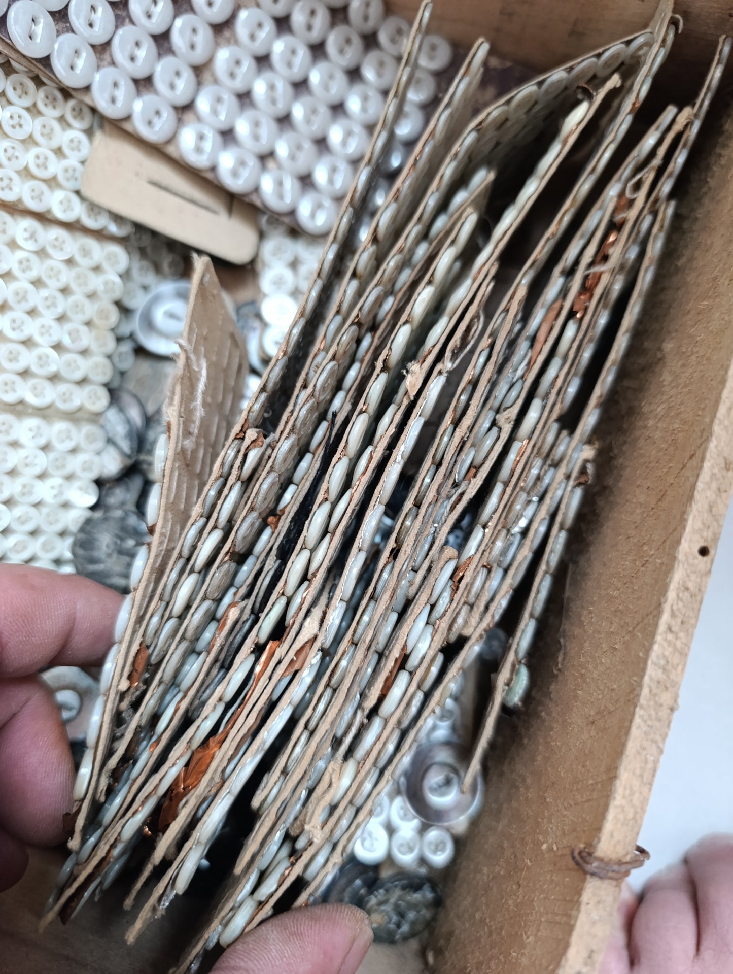 Lot de mini boutons anciens en nacre – 1,5 kg