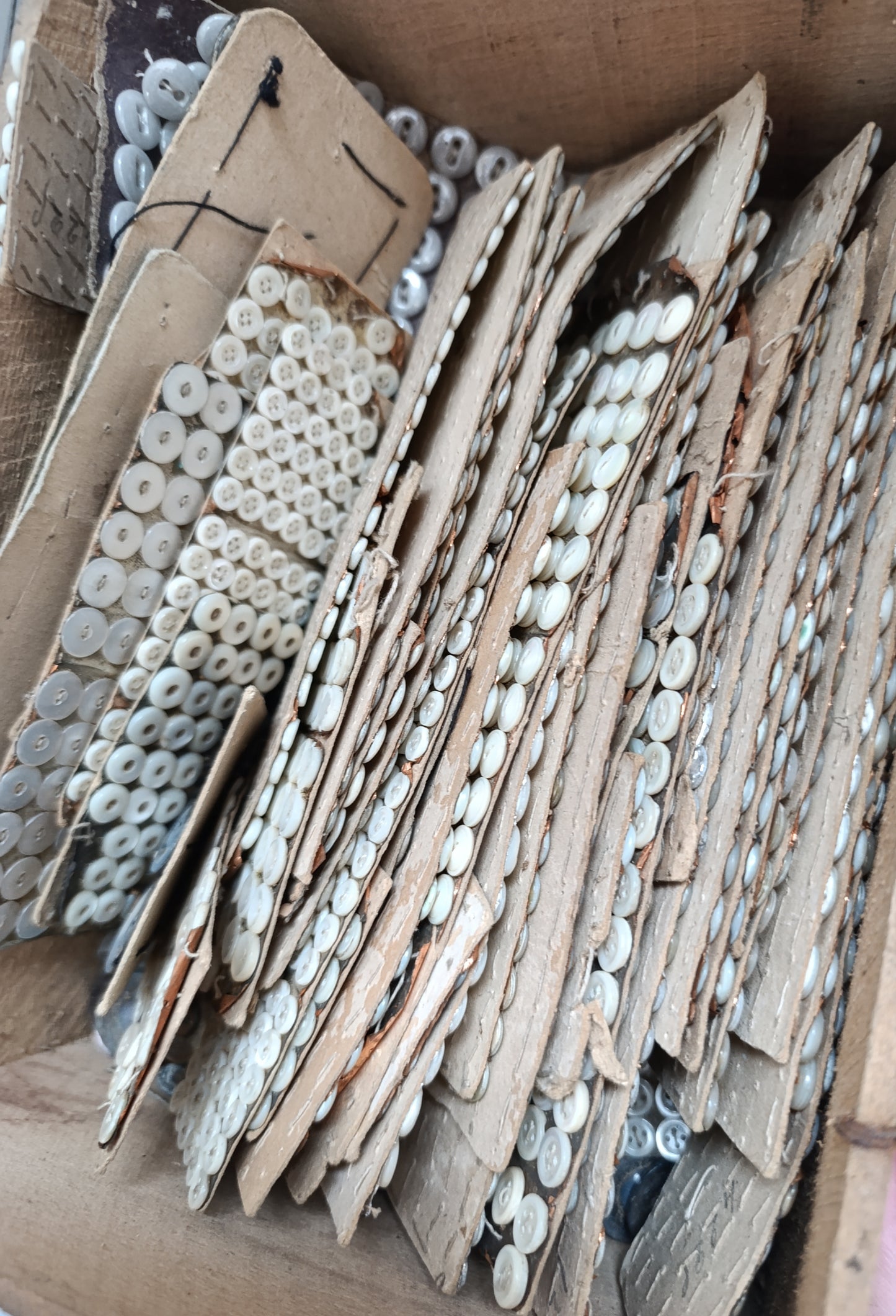 Lot de mini boutons anciens en nacre – 1,5 kg