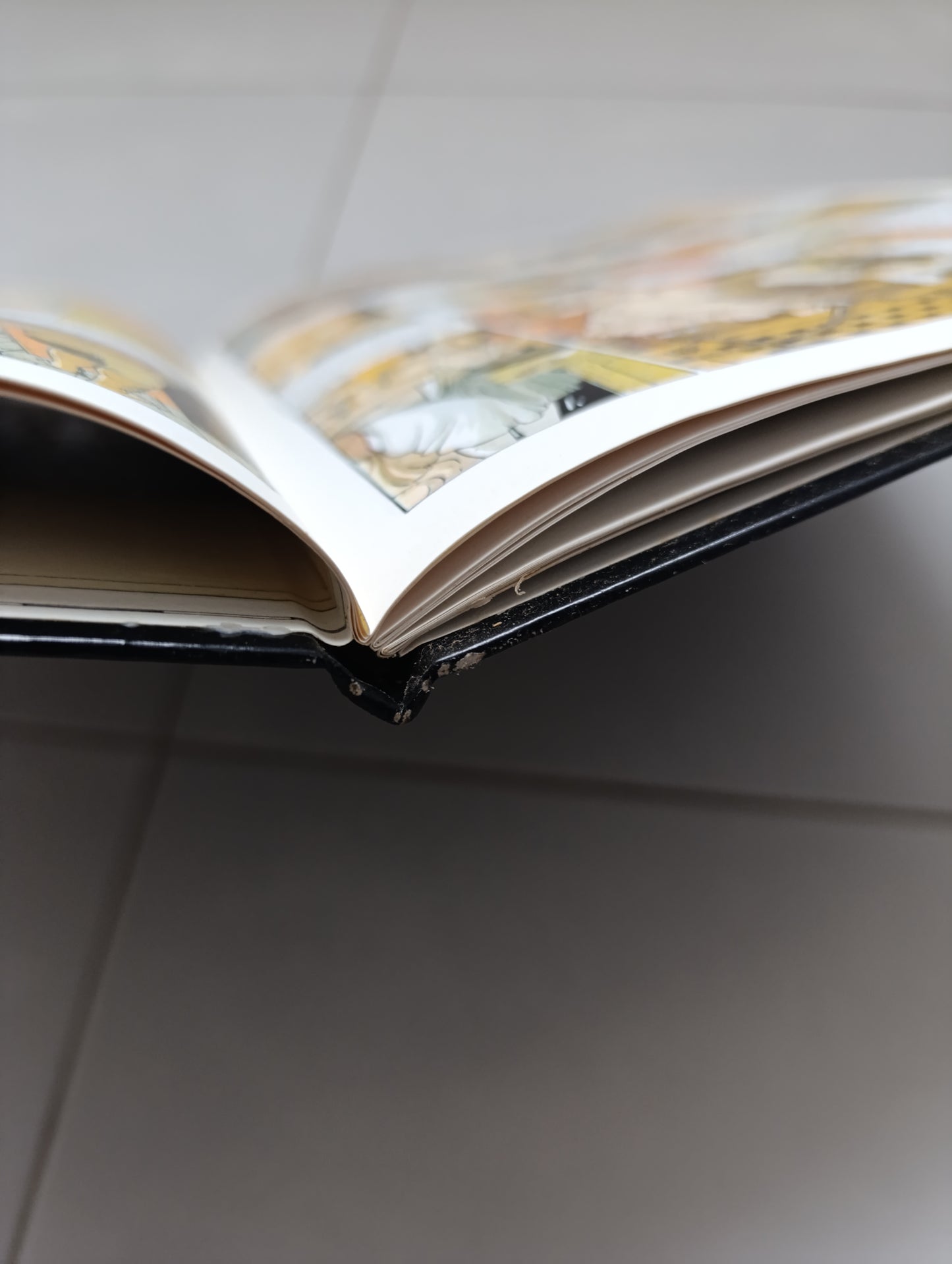 Bourgeon – Les Passagers du Vent T5 : Le bois d’ébène (1984)