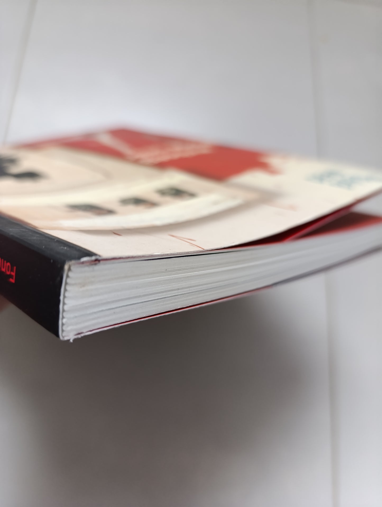 Jean-Michel Basquiat — Monographie / Catalogue illustré