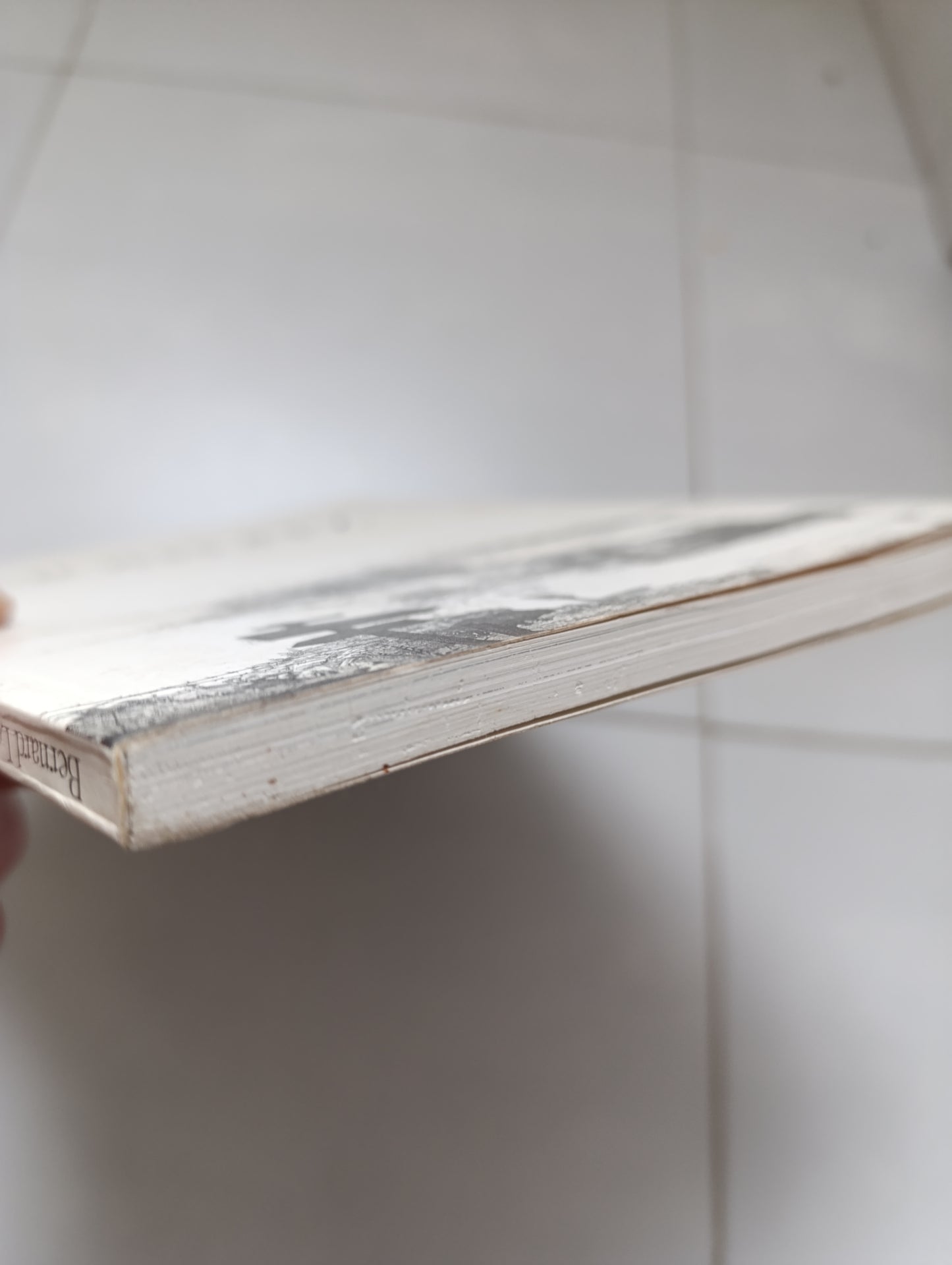 Mohlitz — Bernard Letu Éditeur