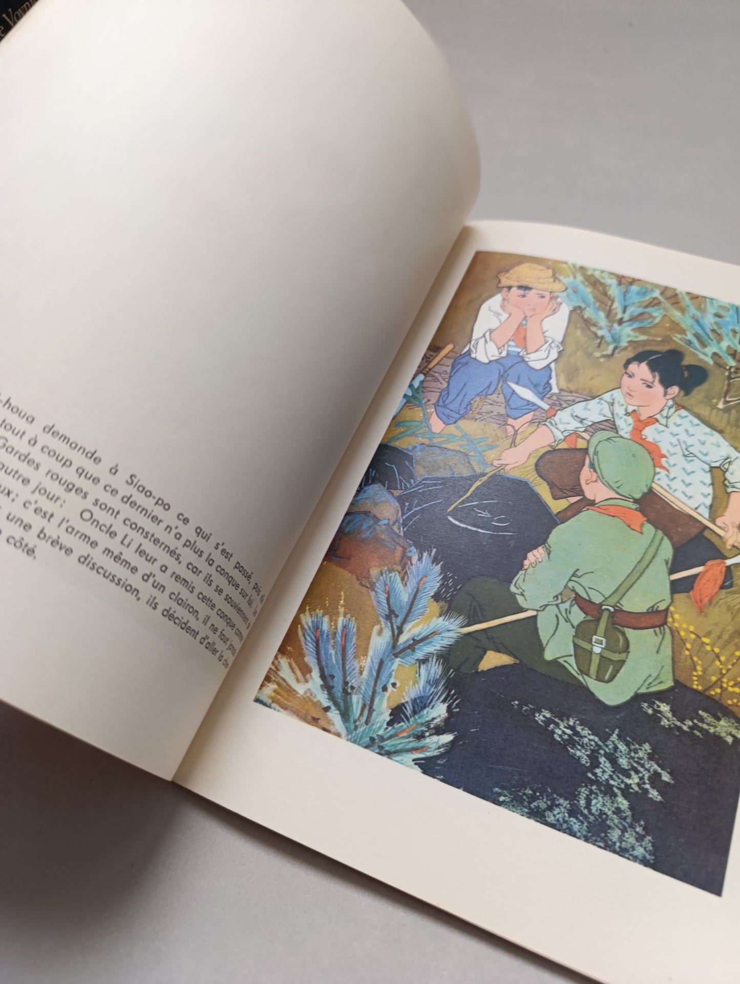 Hai-houa — Fleur de la Mer