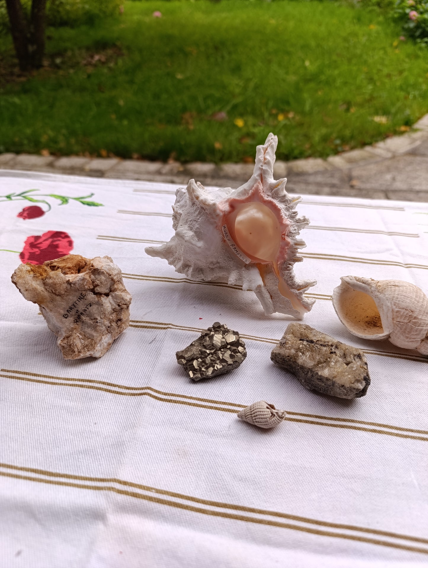 Lot de minéraux et coquillages décoratifs.