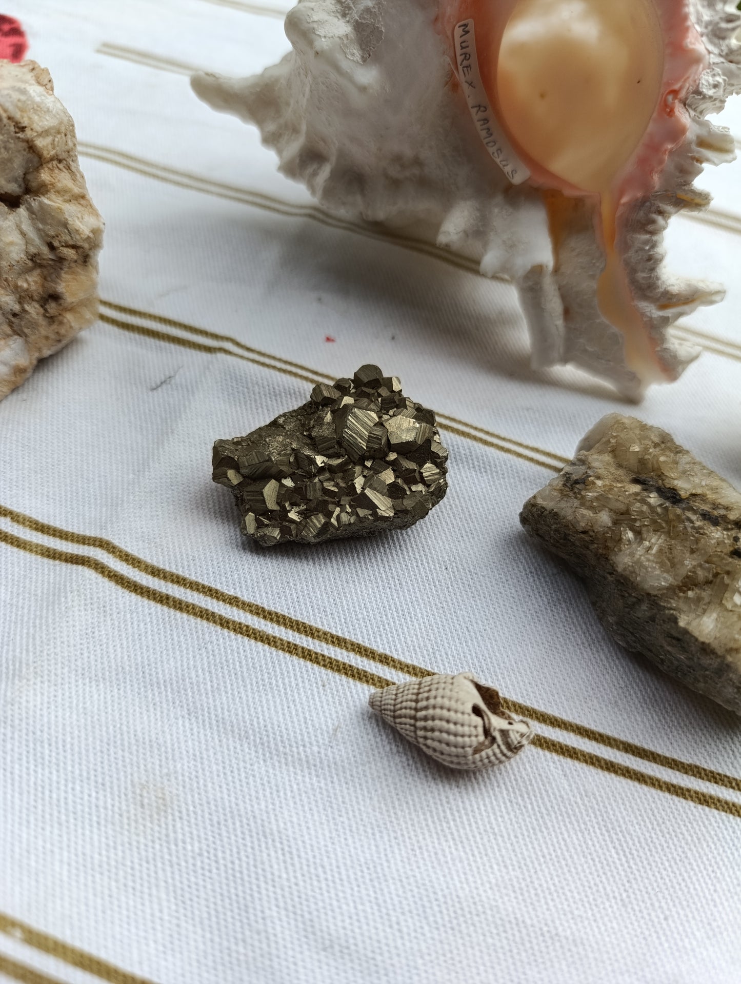 Lot de minéraux et coquillages décoratifs.