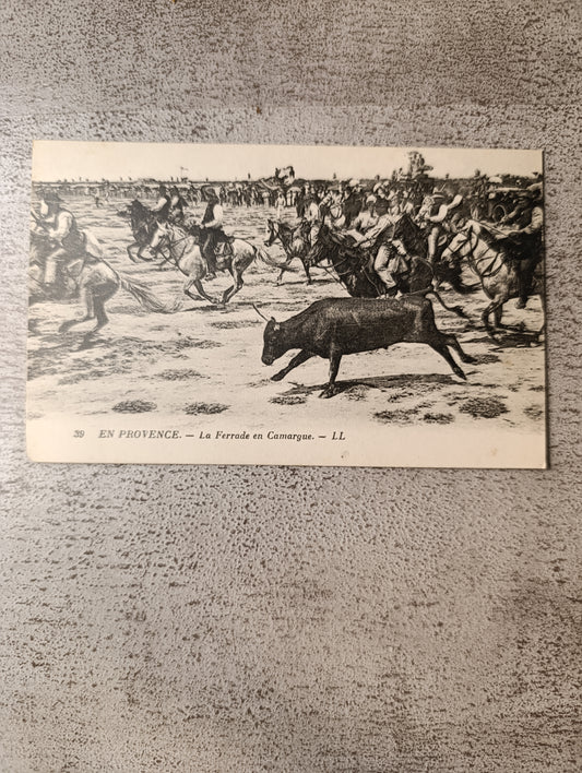 En Provence – La Ferrade en Camargue – carte postale ancienne LL