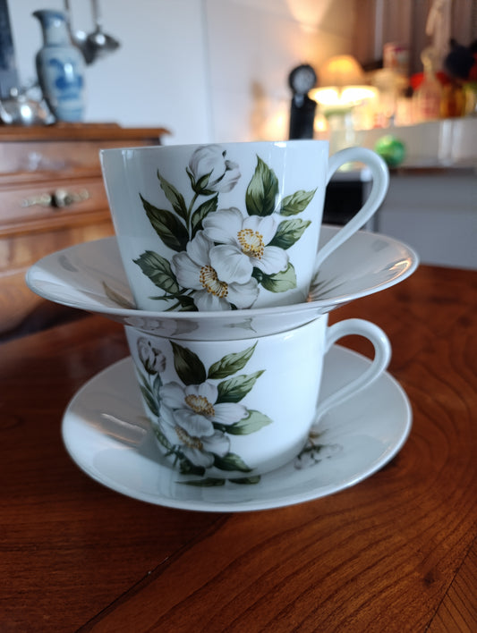 Lot de 2 tasses et soucoupes en porcelaine de Limoges – Porcelaine de Paris