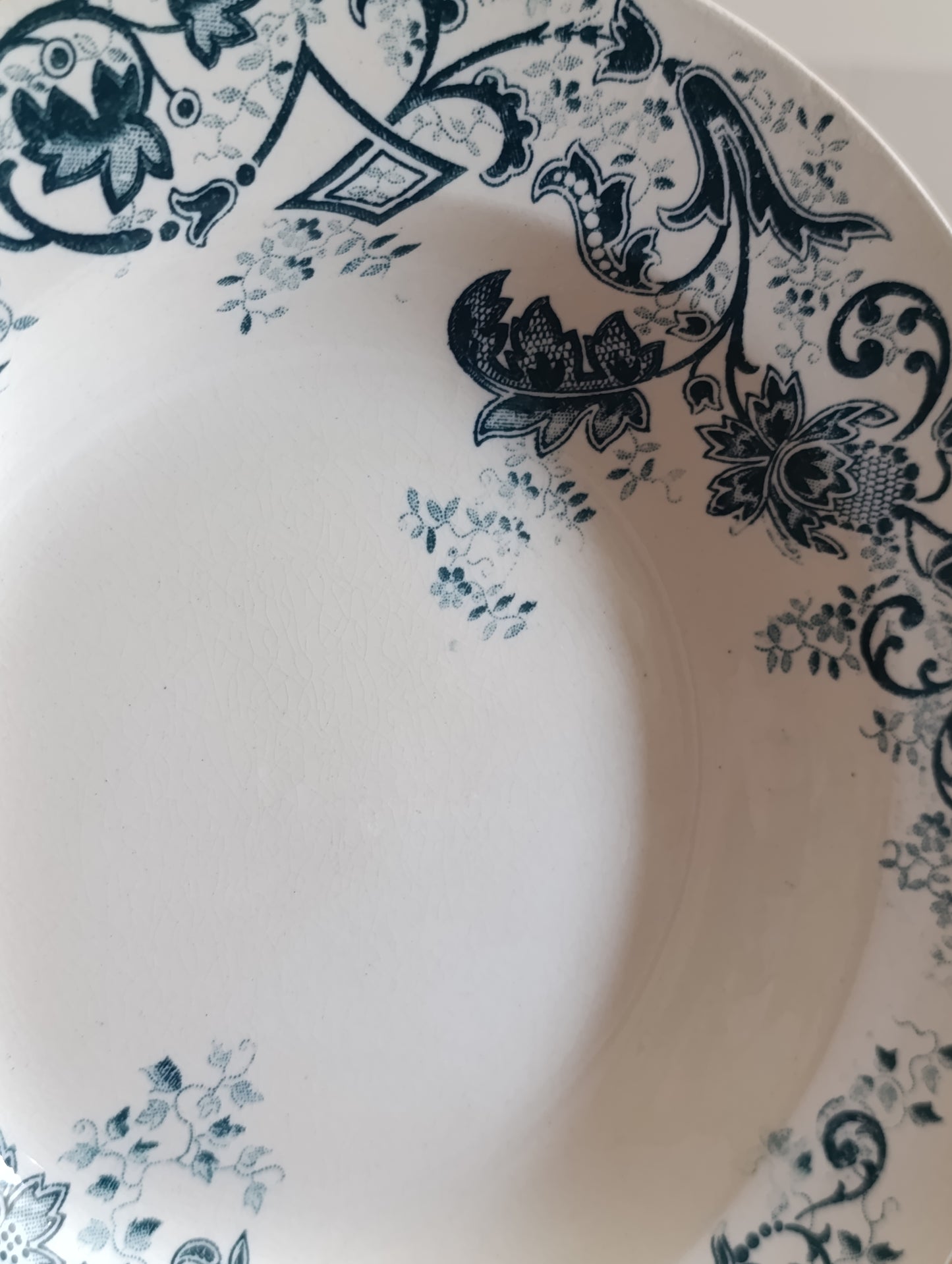 Lot de 2 assiettes creuses anciennes Terre de Fer Cie Franco Anglaise Paris décor floral bleu