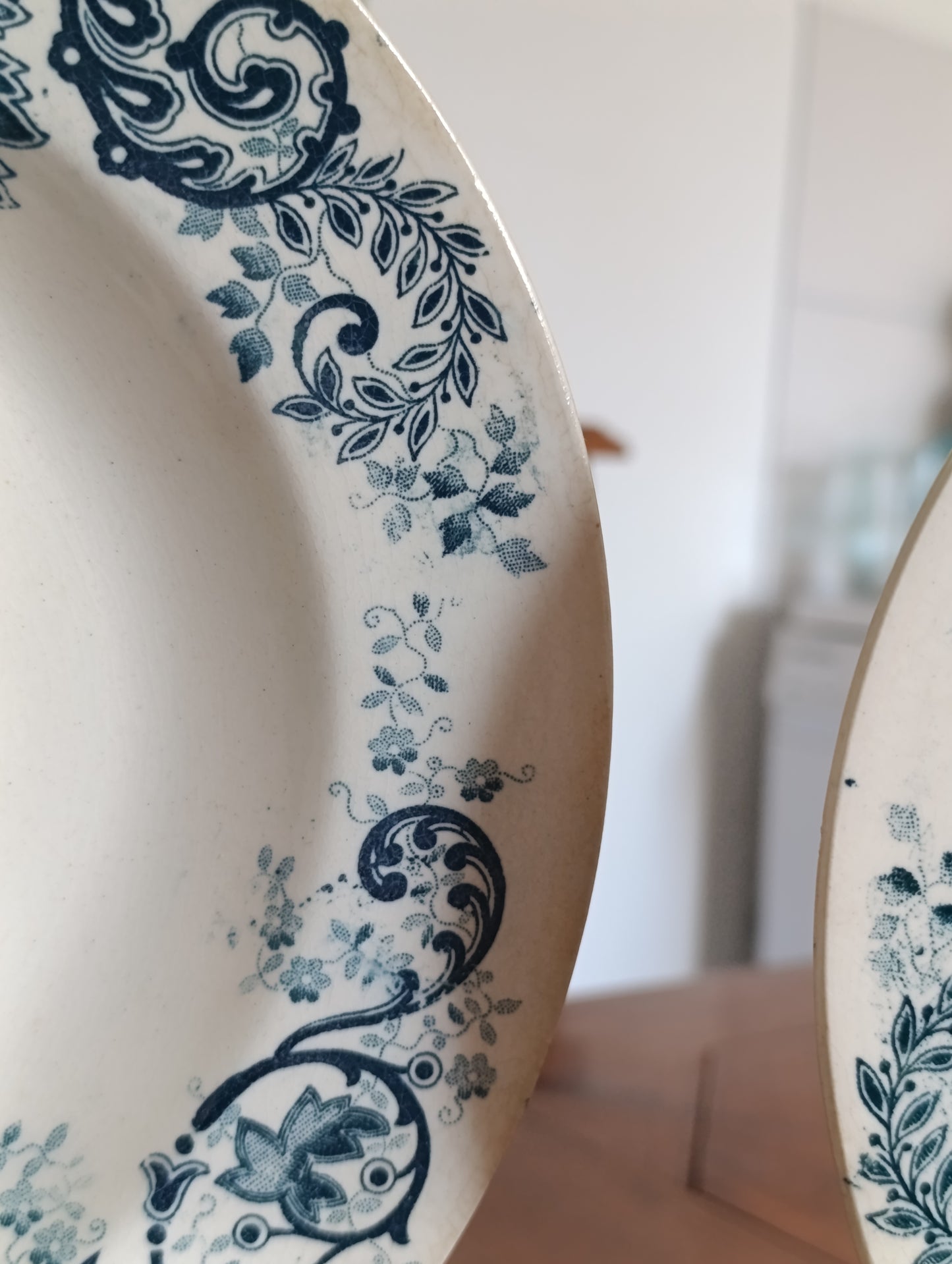 Lot de 2 assiettes creuses anciennes Terre de Fer Cie Franco Anglaise Paris décor floral bleu