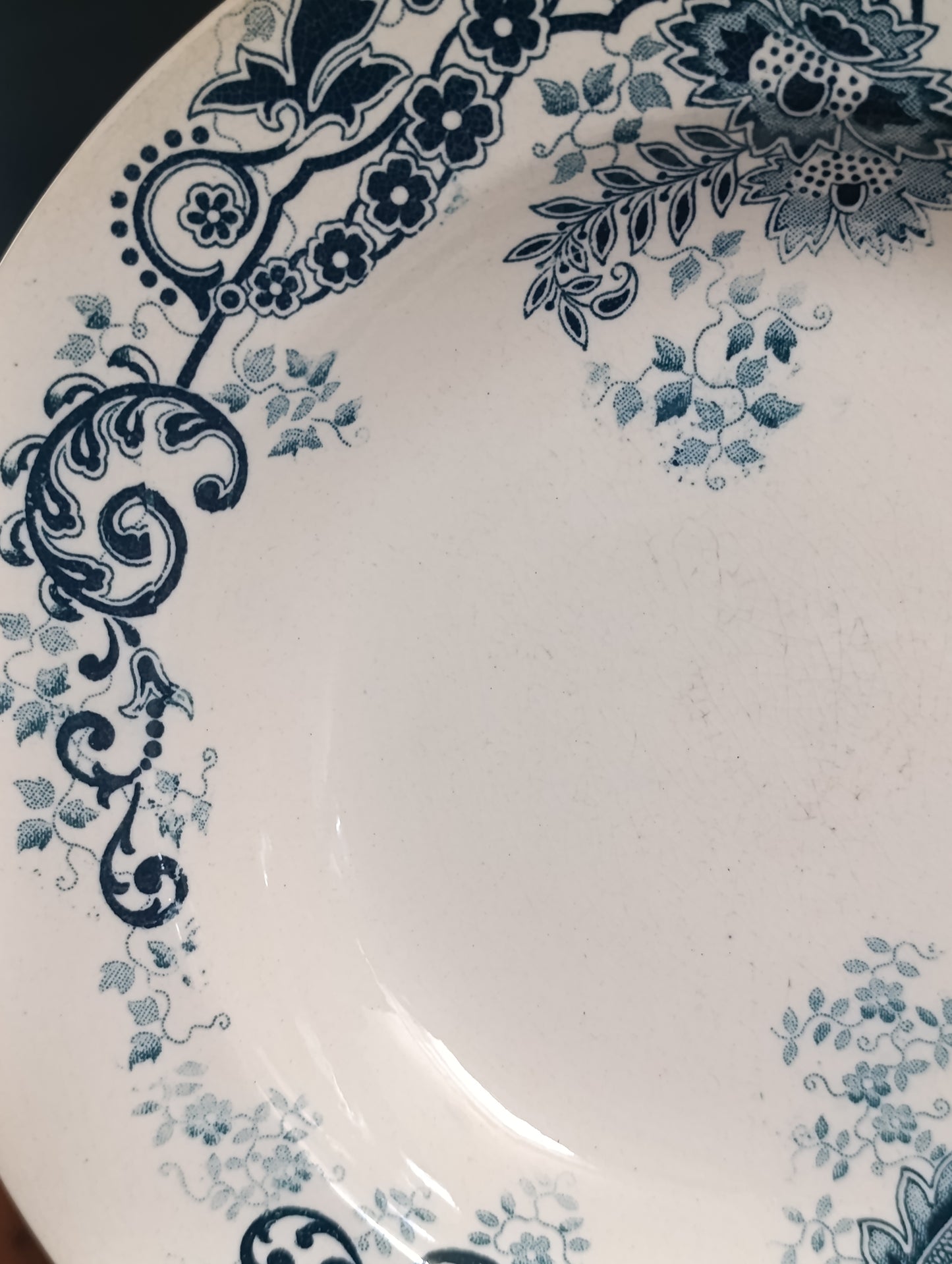 Lot de 2 assiettes creuses anciennes Terre de Fer Cie Franco Anglaise Paris décor floral bleu