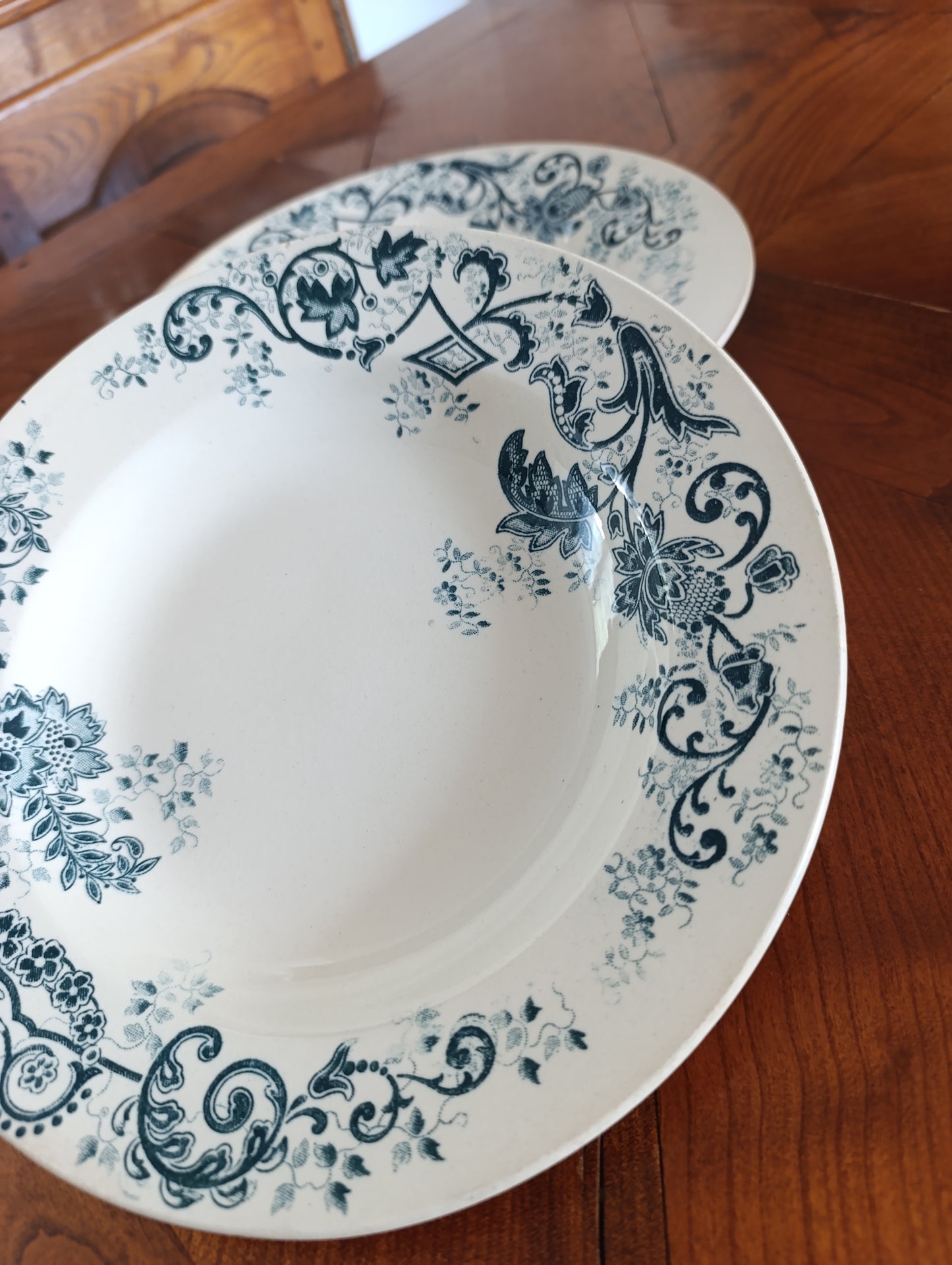 Lot de 2 assiettes creuses anciennes Terre de Fer Cie Franco Anglaise Paris décor floral bleu