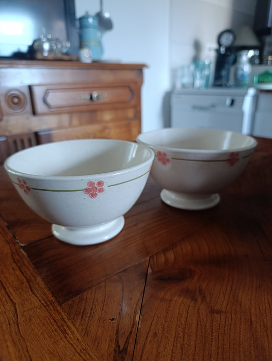 Paire de bols anciens Salins France – décor fleurs roses – vaisselle vintage française