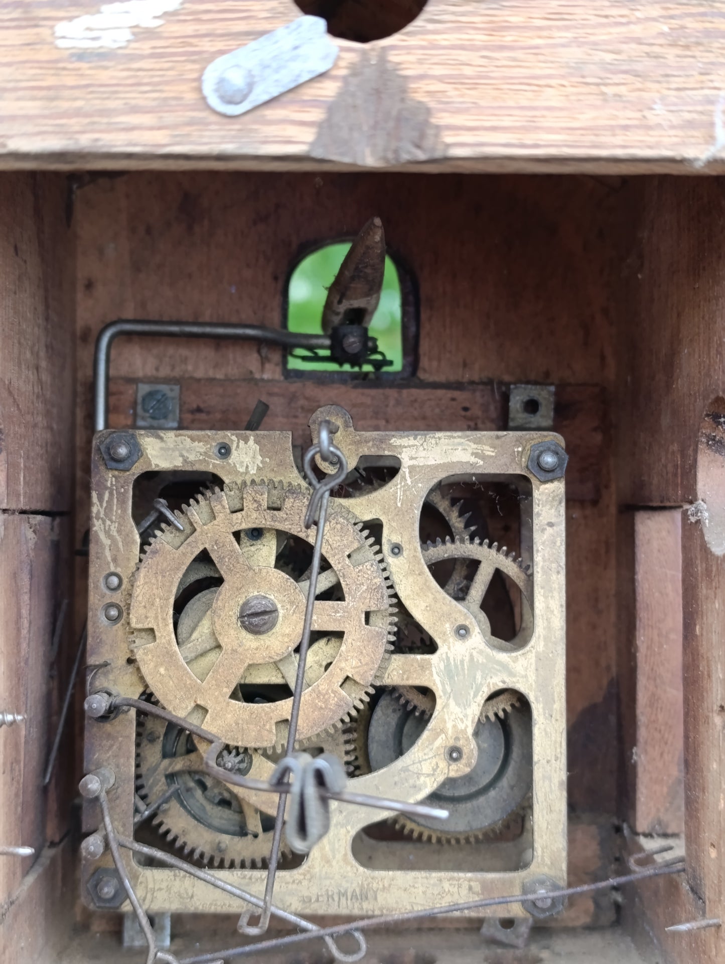 Pendule coucou ancienne en bois sculpté avec mécanisme, deux poids et oiseau – À restaurer