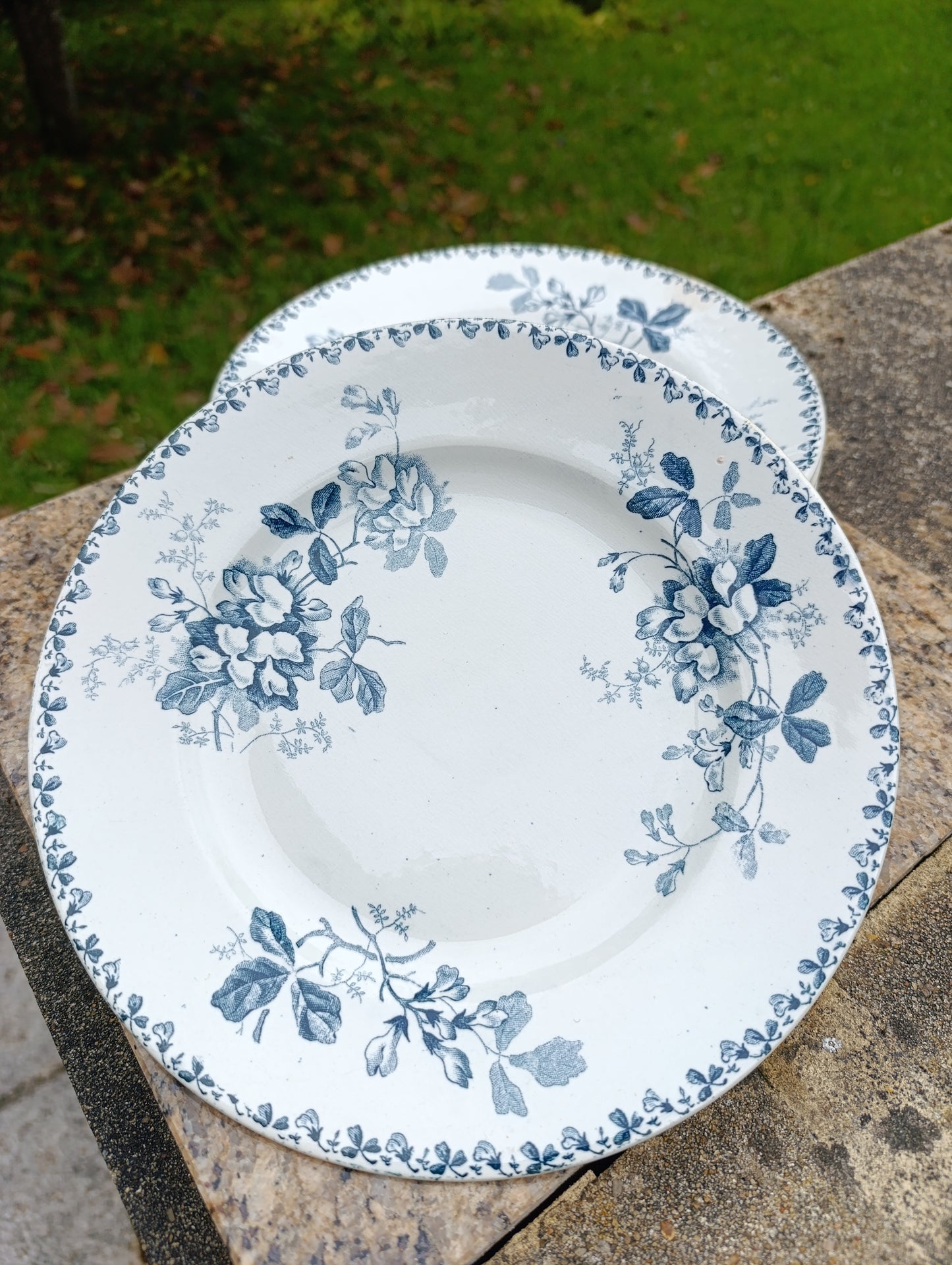 Lot de 5 assiettes anciennes Saint-Amand Hamage Acacia bleu gris vintage