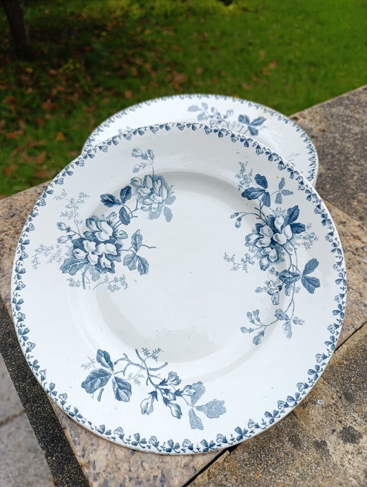 Lot de 5 assiettes anciennes Saint-Amand Hamage Acacia bleu gris vintage