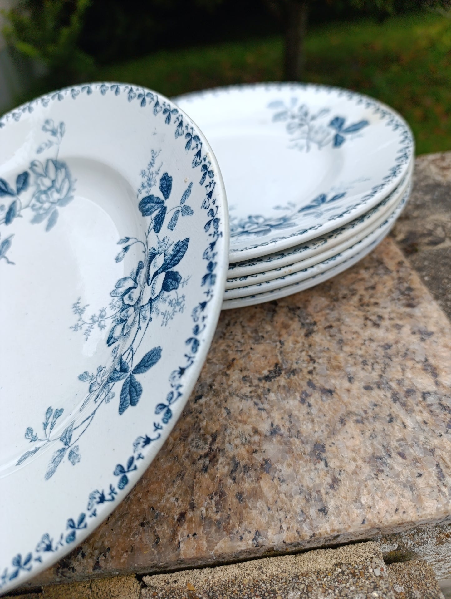 Lot de 5 assiettes anciennes Saint-Amand Hamage Acacia bleu gris vintage