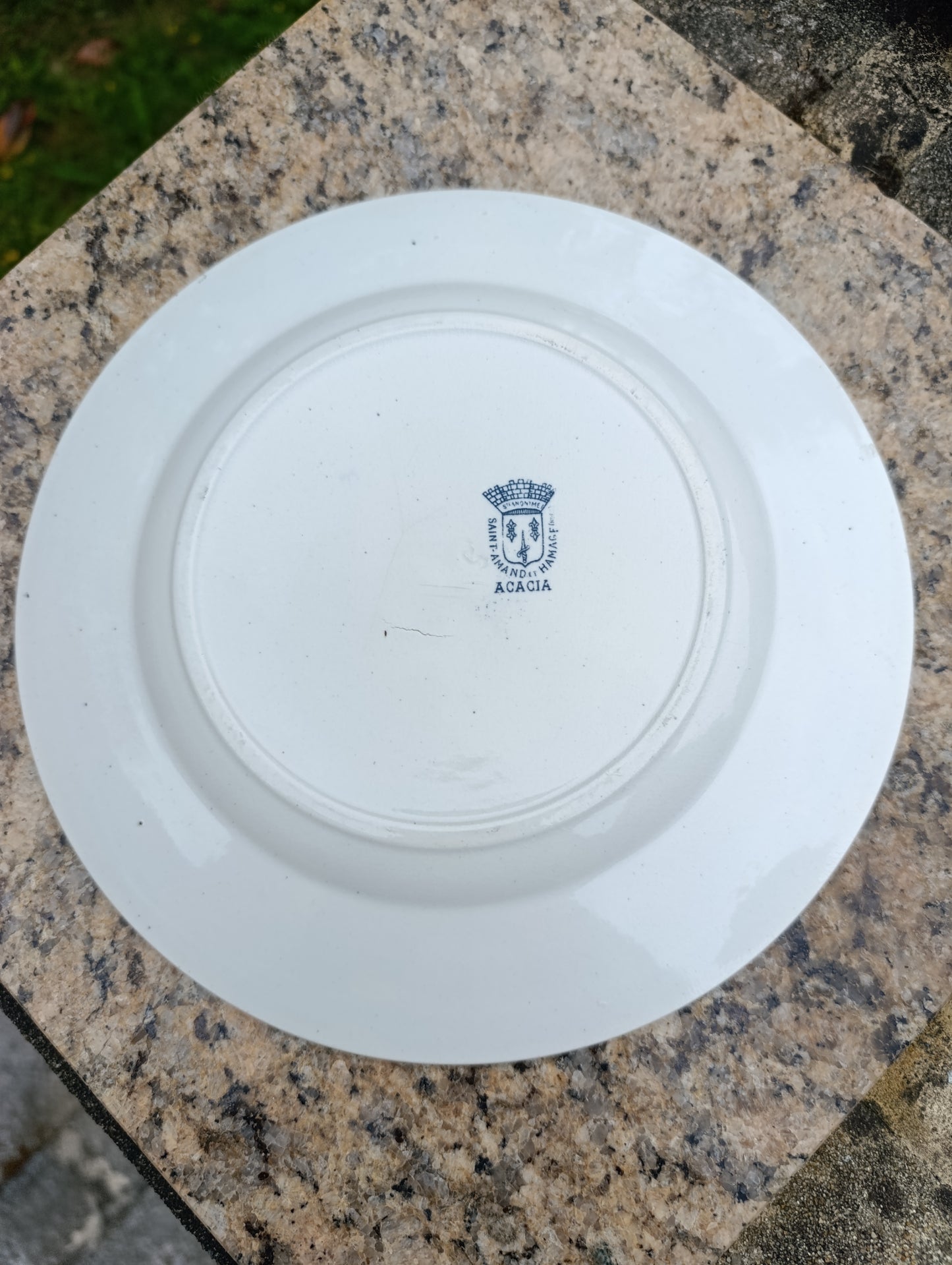 Lot de 5 assiettes anciennes Saint-Amand Hamage Acacia bleu gris vintage