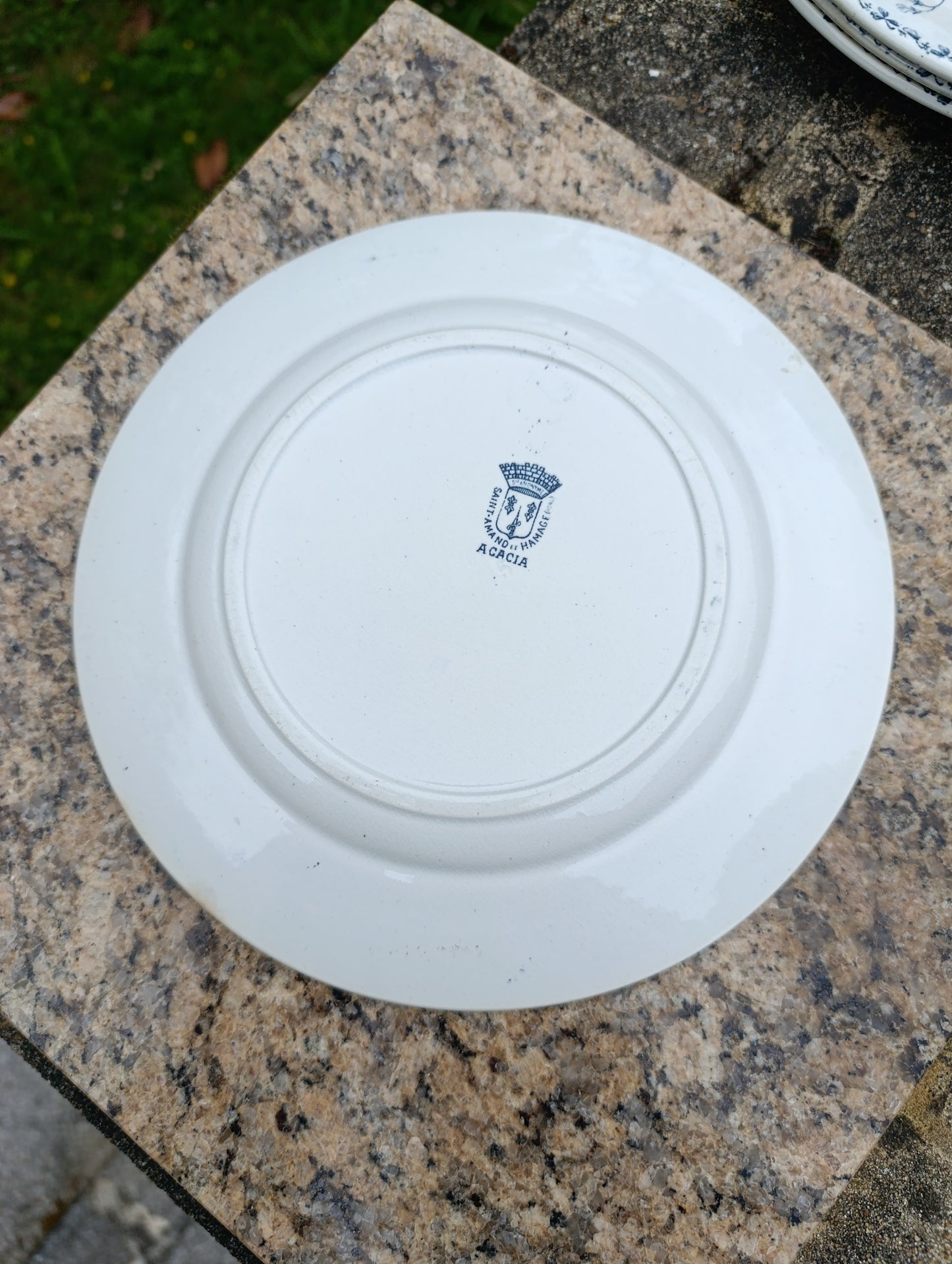 Lot de 5 assiettes anciennes Saint-Amand Hamage Acacia bleu gris vintage