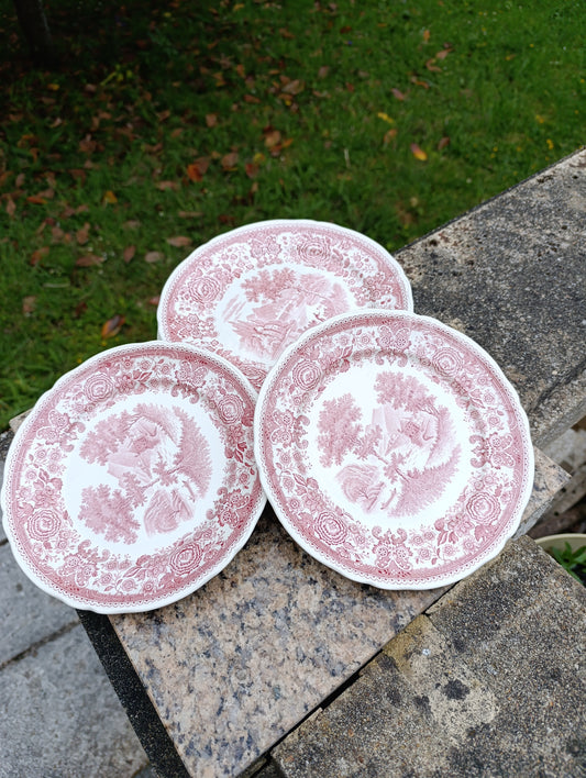 Lot de 6 assiettes anciennes Villeroy & Boch Burgenland rouge – décoration vintage romantique shabby chic