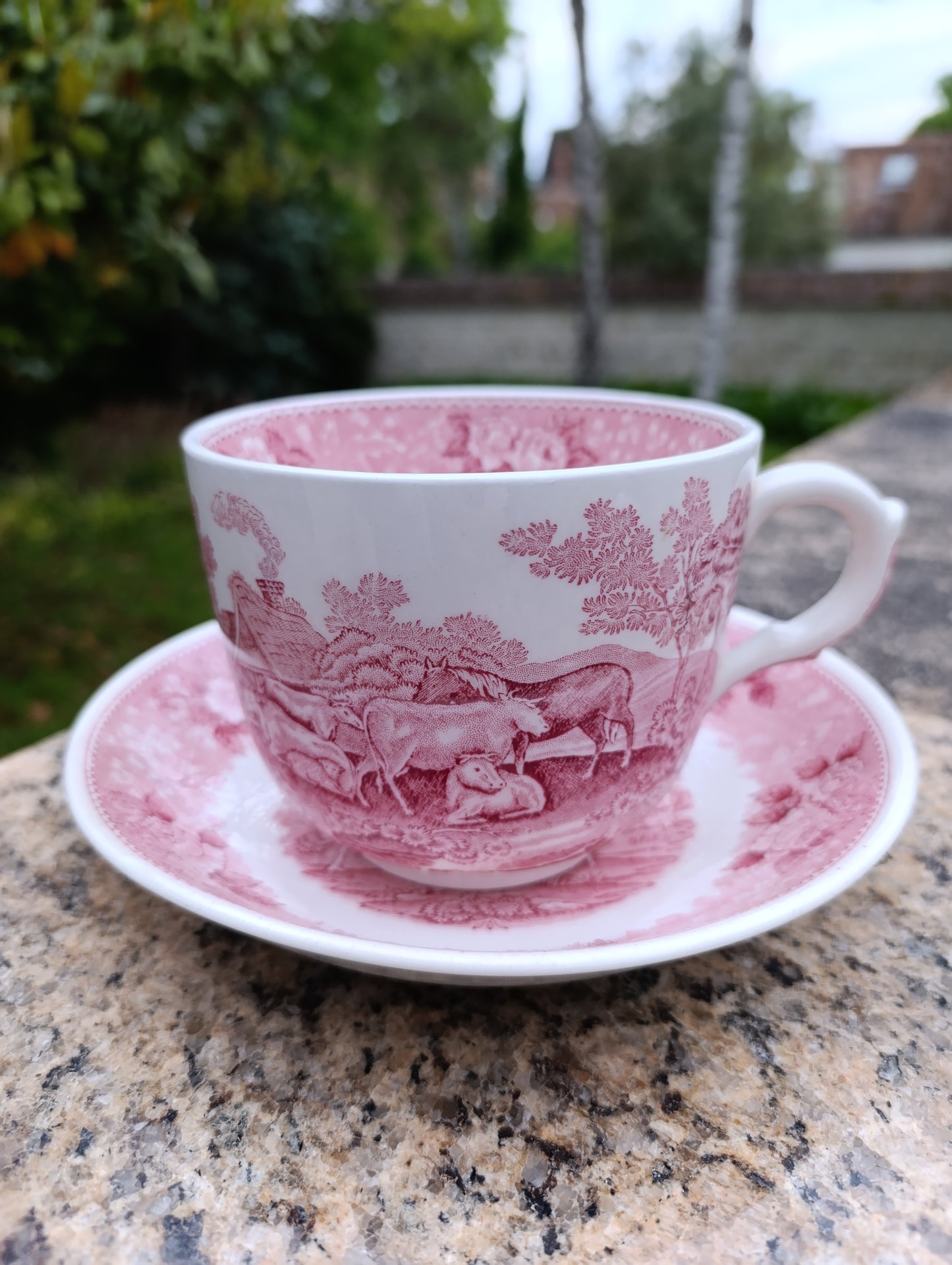 Grande tasse déjeuner ancienne Adams English Scenic rose avec soucoupe – décor pastoral anglais