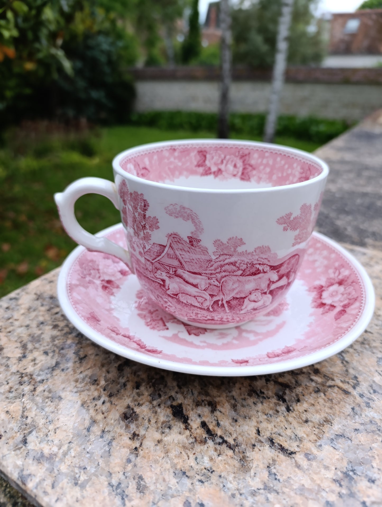 Grande tasse déjeuner ancienne Adams English Scenic rose avec soucoupe – décor pastoral anglais
