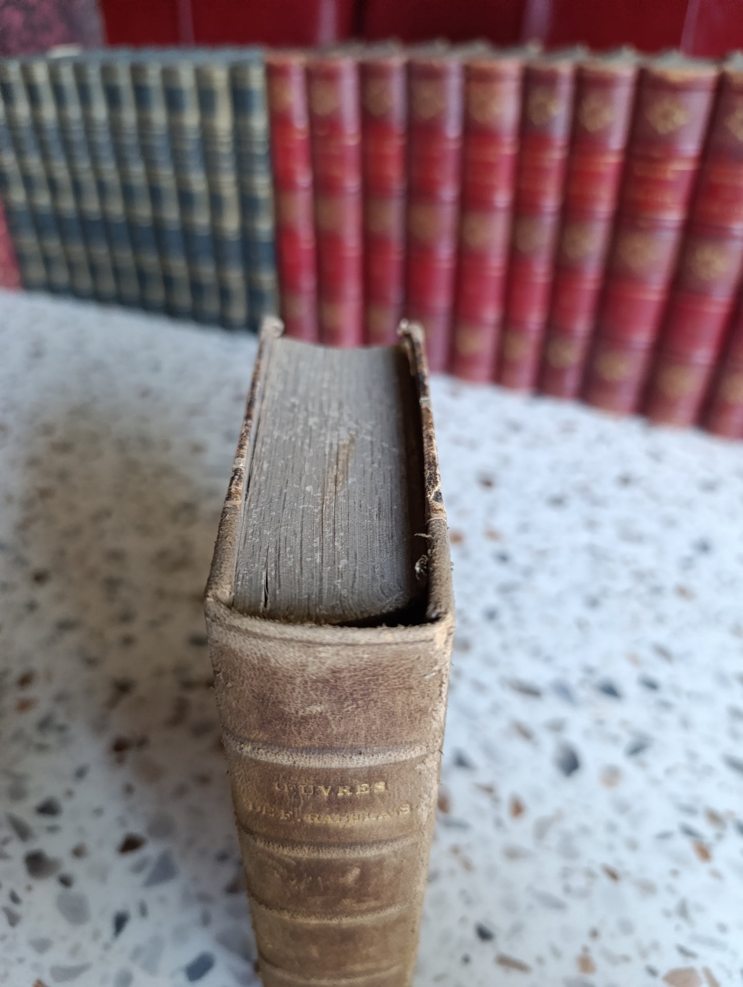 Œuvres de Rabelais – Édition Louis Barré – Garnier Frères – Reliure ancienne