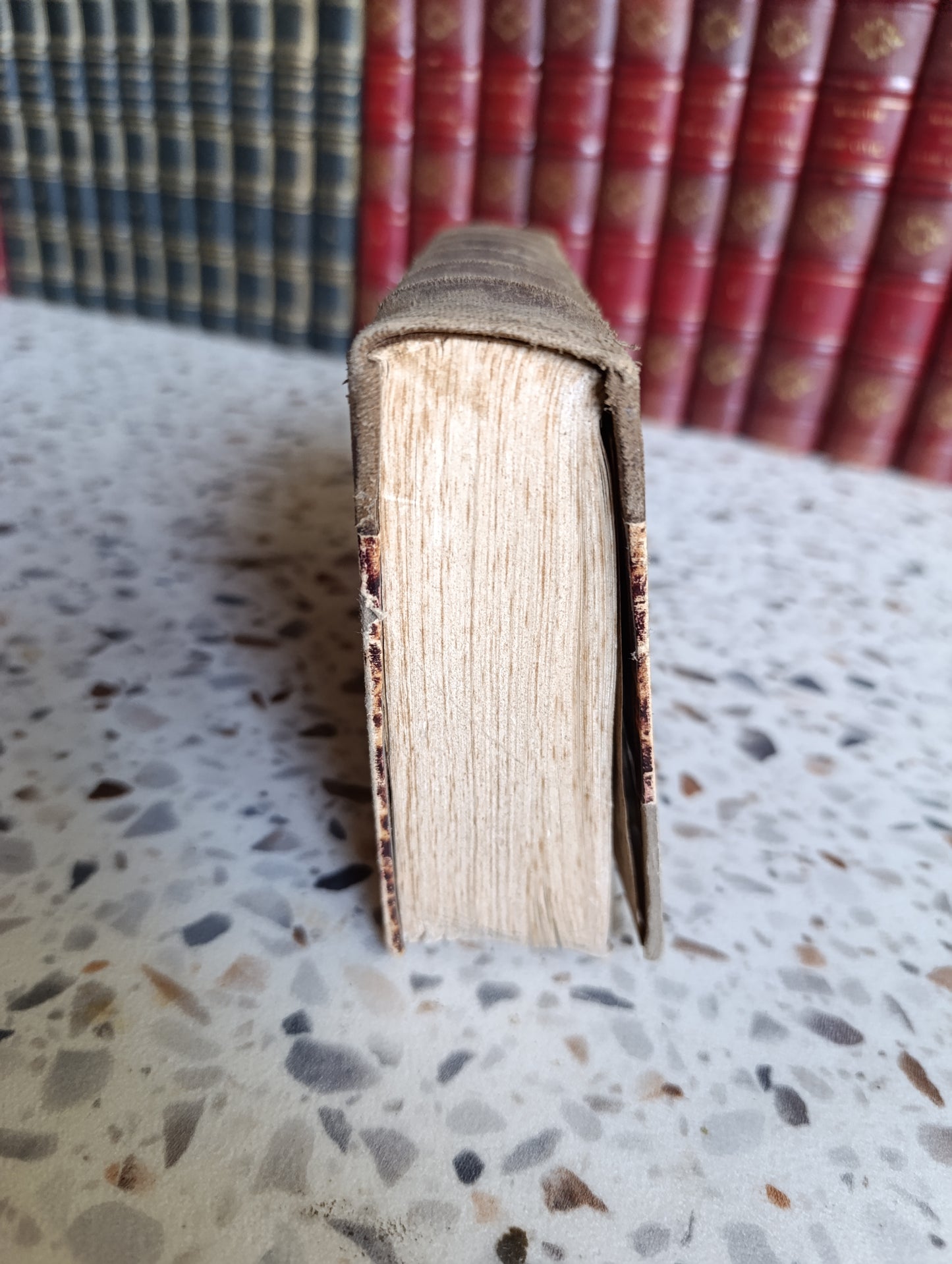 Œuvres de Rabelais – Édition Louis Barré – Garnier Frères – Reliure ancienne