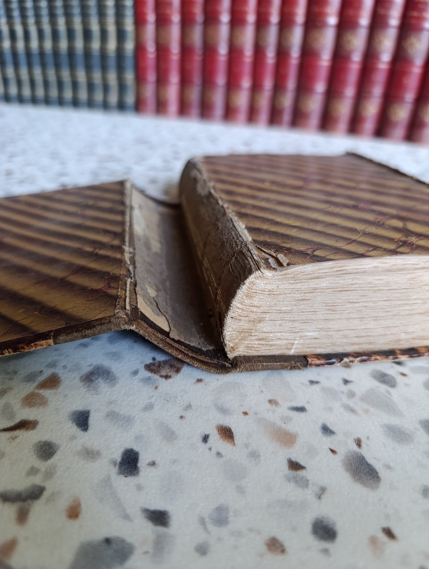 Œuvres de Rabelais – Édition Louis Barré – Garnier Frères – Reliure ancienne