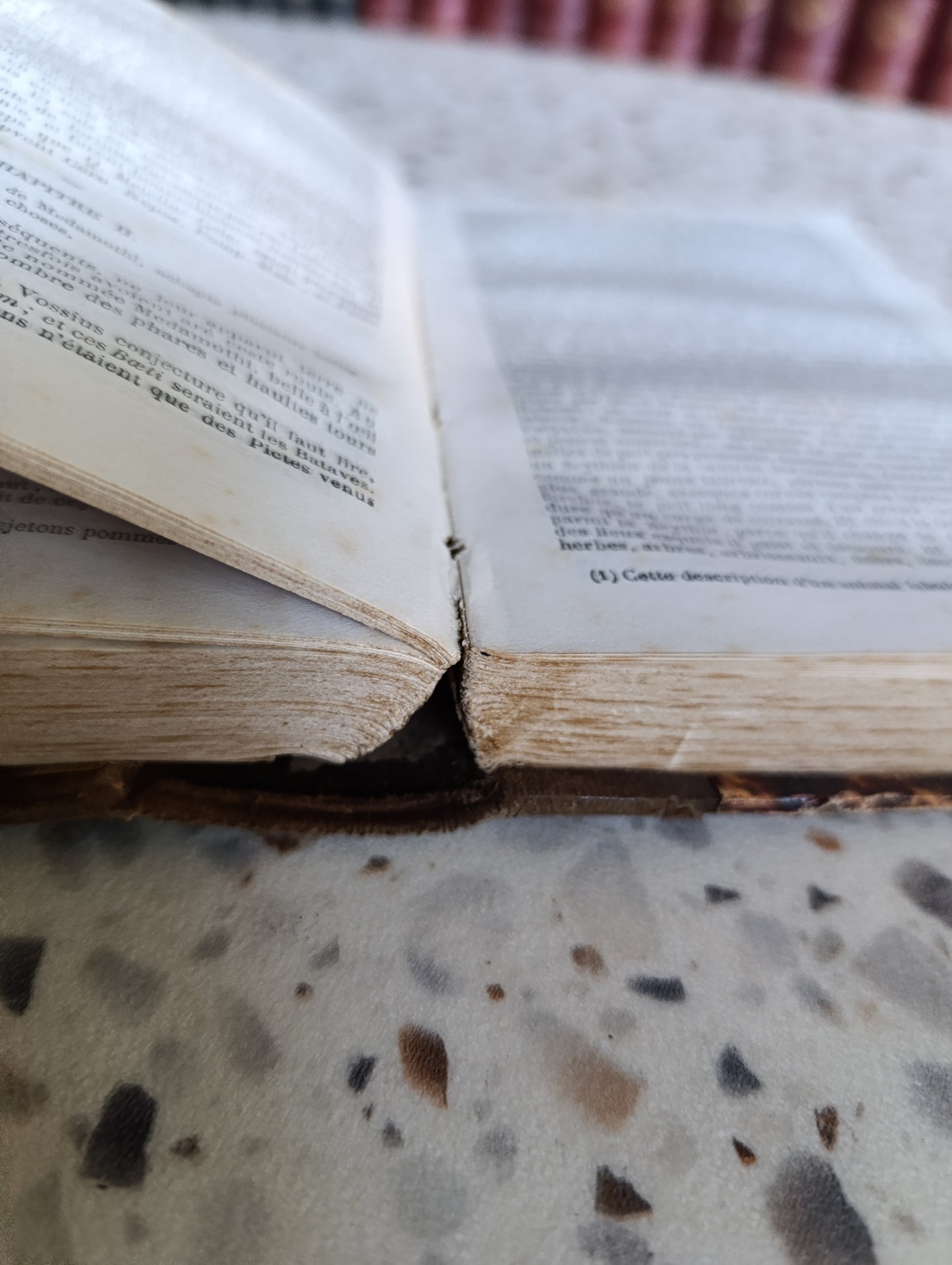 Œuvres de Rabelais – Édition Louis Barré – Garnier Frères – Reliure ancienne