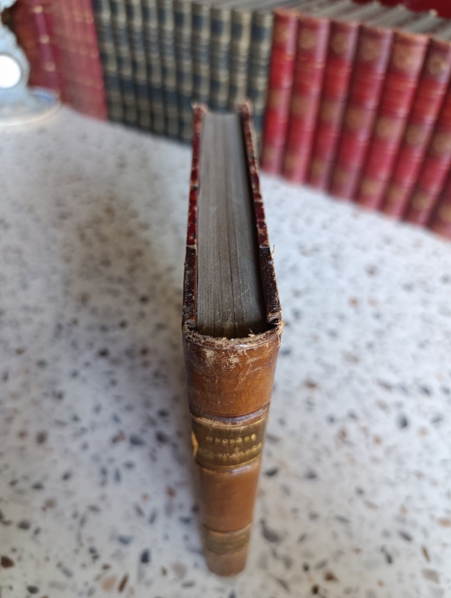 Le Roi – Georges d'Esparbès – Illustrations de H. Lanos – Flammarion – Reliure ancienne