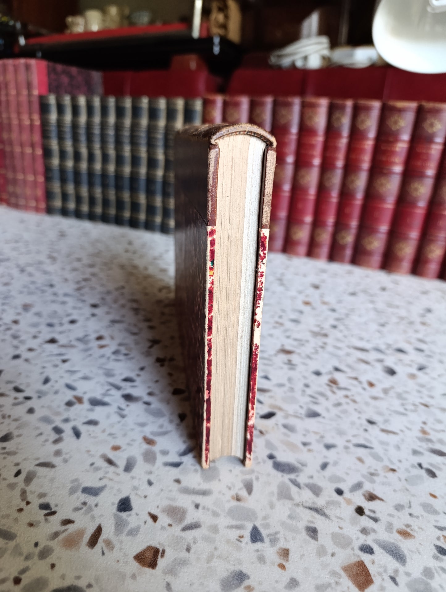 Le Roi – Georges d'Esparbès – Illustrations de H. Lanos – Flammarion – Reliure ancienne