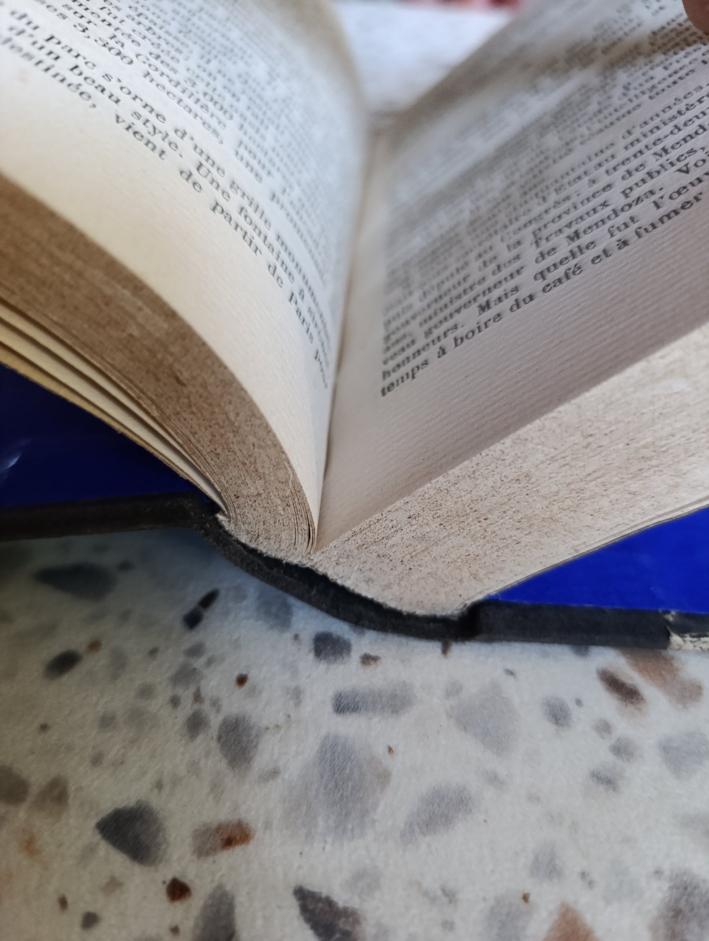 De la Plata à la Cordillère des Andes – Jules Huret – Édition de 1913 – Bibliothèque Charpentier