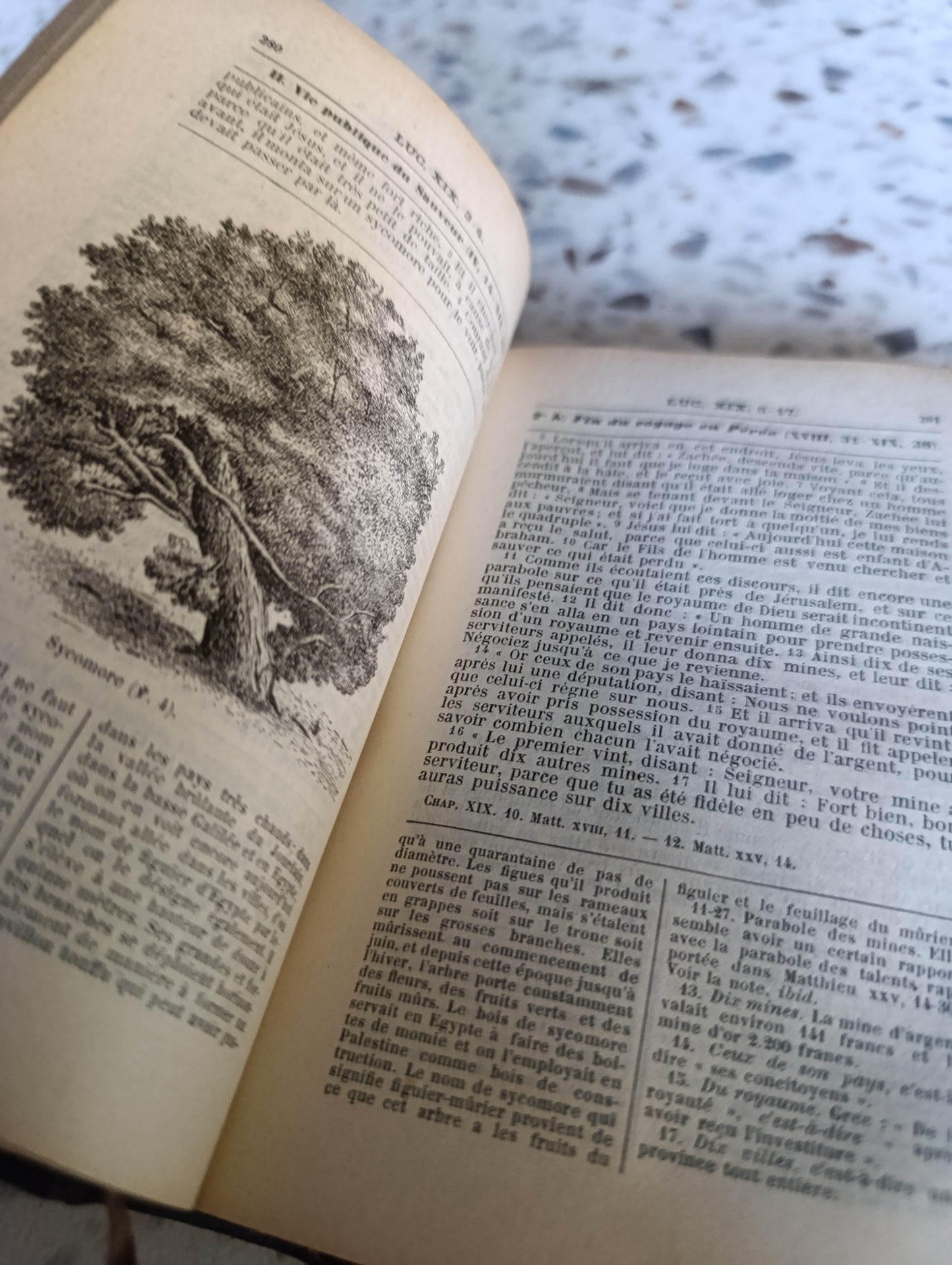 La Sainte Bible – Nouveau Testament – Glaire & Vigouroux – Édition illustrée 1917