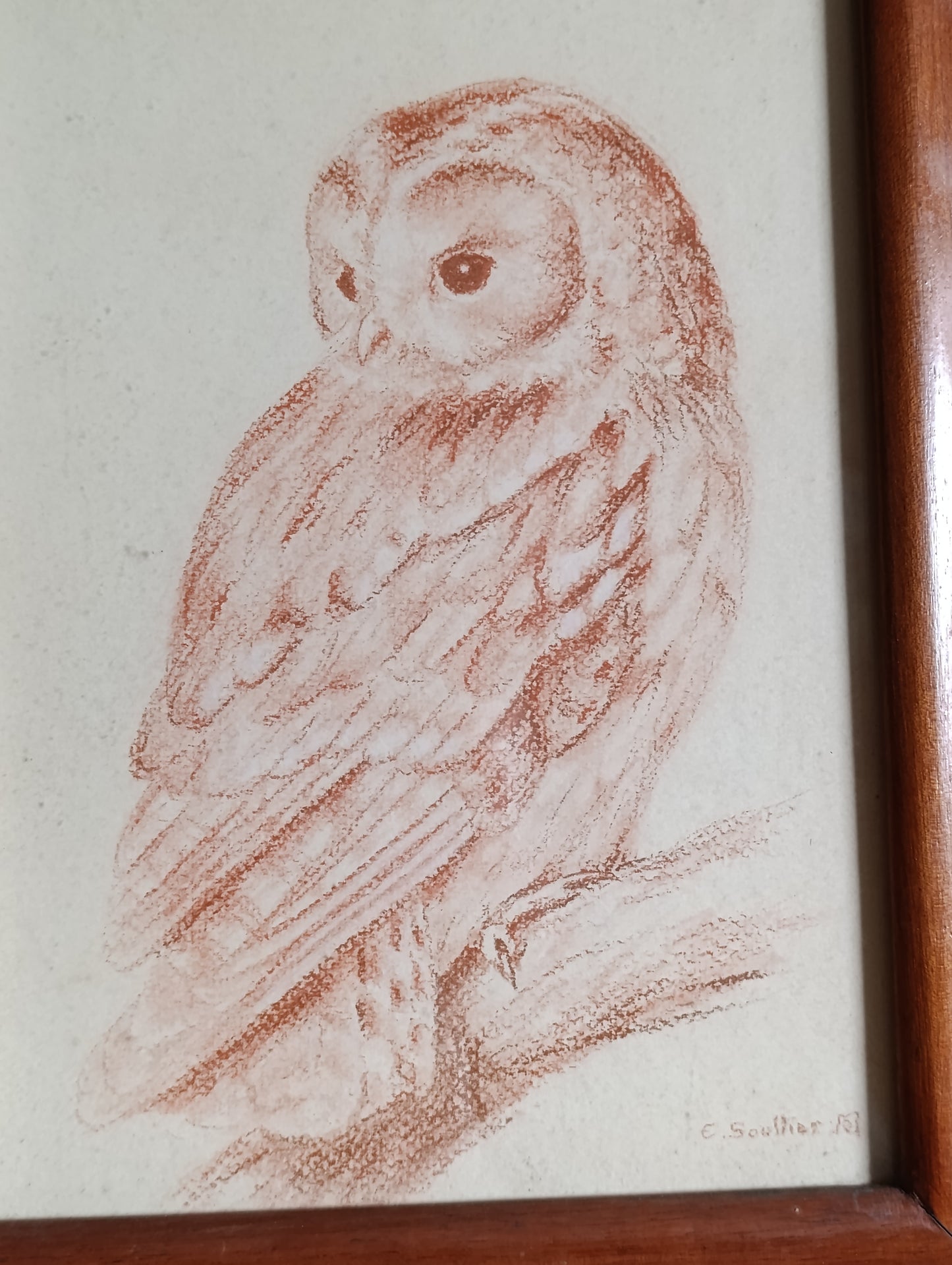 Dessin ancien de chouette / hibou signé E. Soullier – Cadre bois vintage
