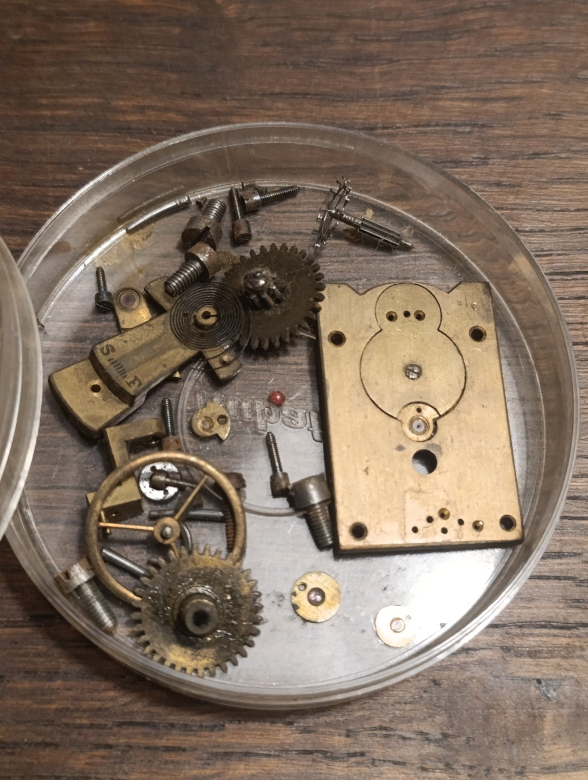 Détail du lot à remonter : platine, balancier, ressort spiral, rouages, vis et petites pièces.