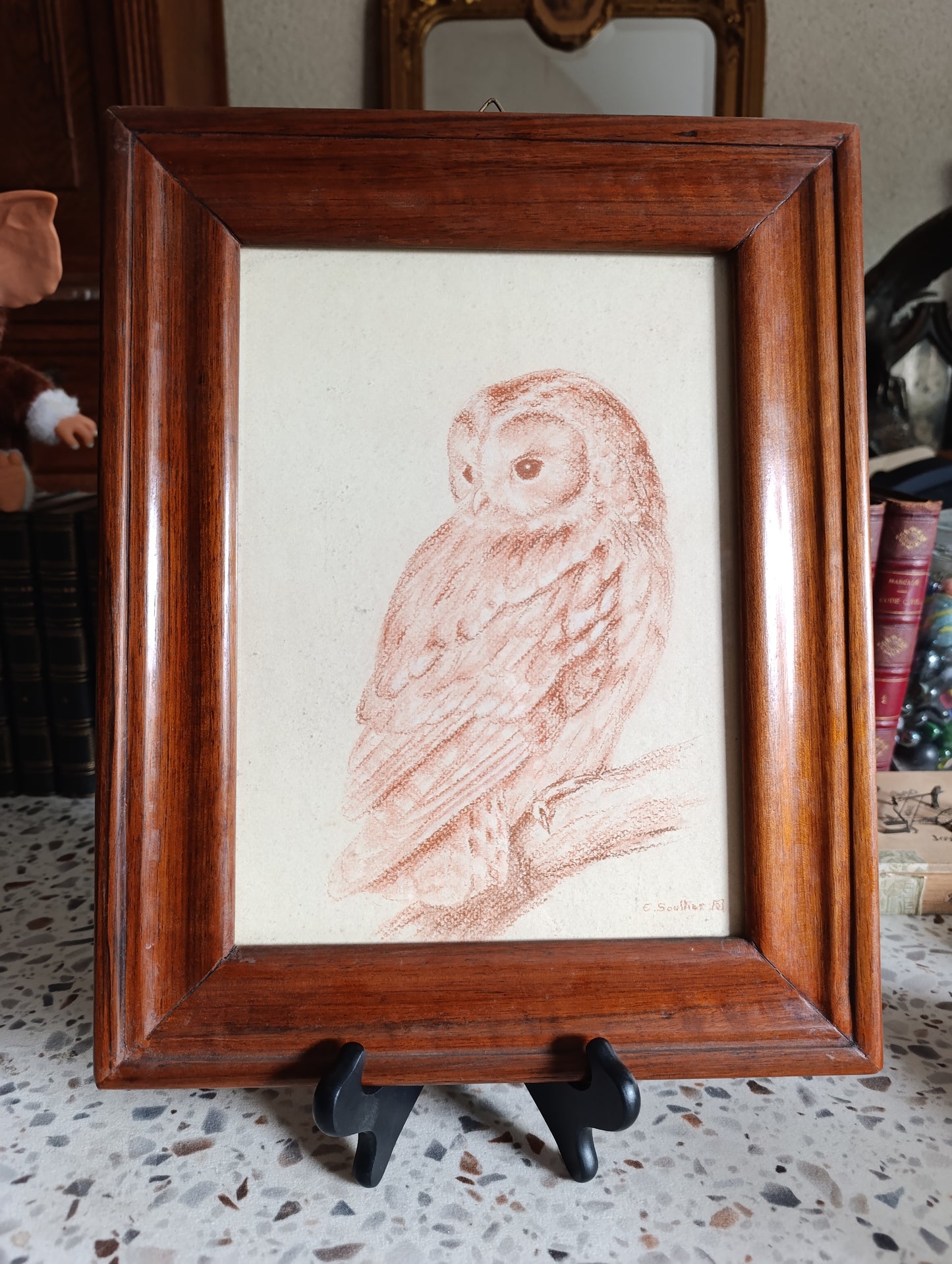 Dessin ancien de chouette / hibou signé E. Soullier – Cadre bois vintage