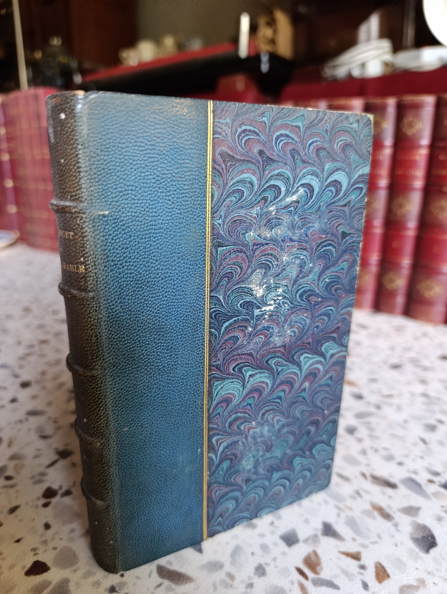 Paul Bourget – L'Irréparable – Quatrième édition (1885) – Reliure demi-chagrin