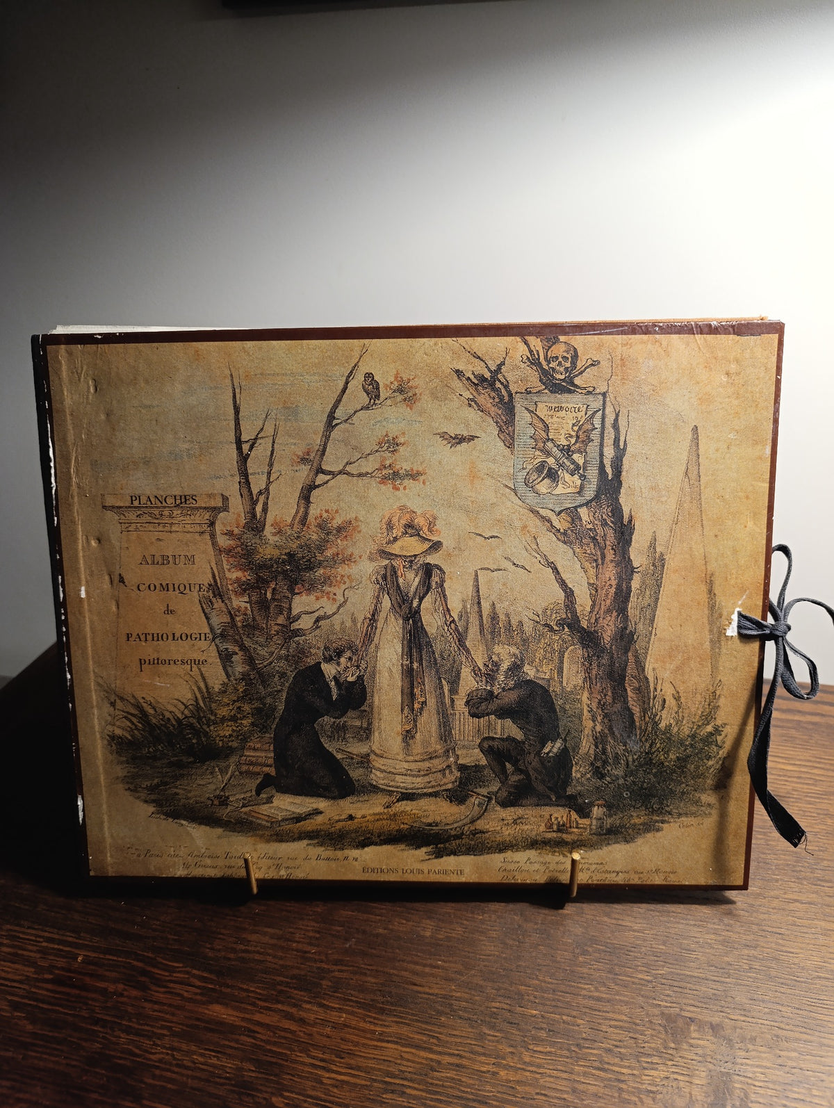 Pochette illustrée Album comique de pathologie pittoresque